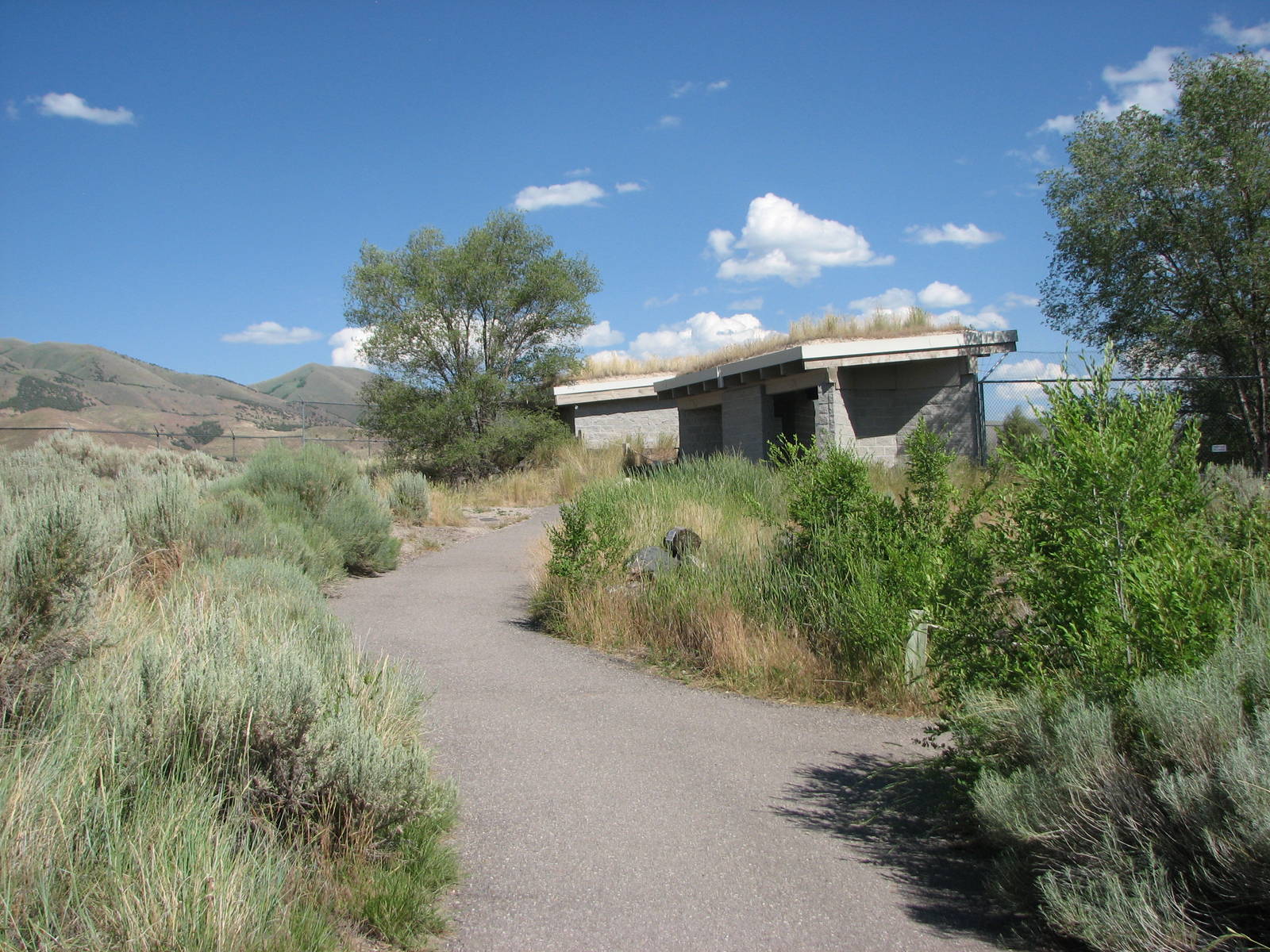 Coyote Exhibit - Viewing Shelter