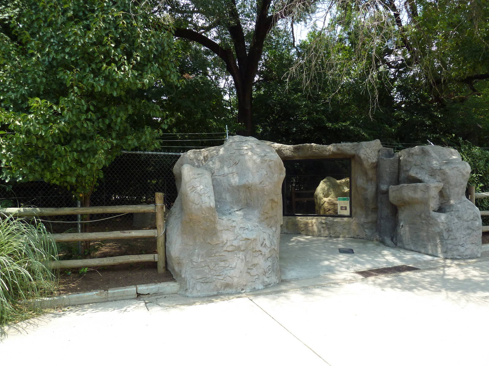 Coyote Exhibit