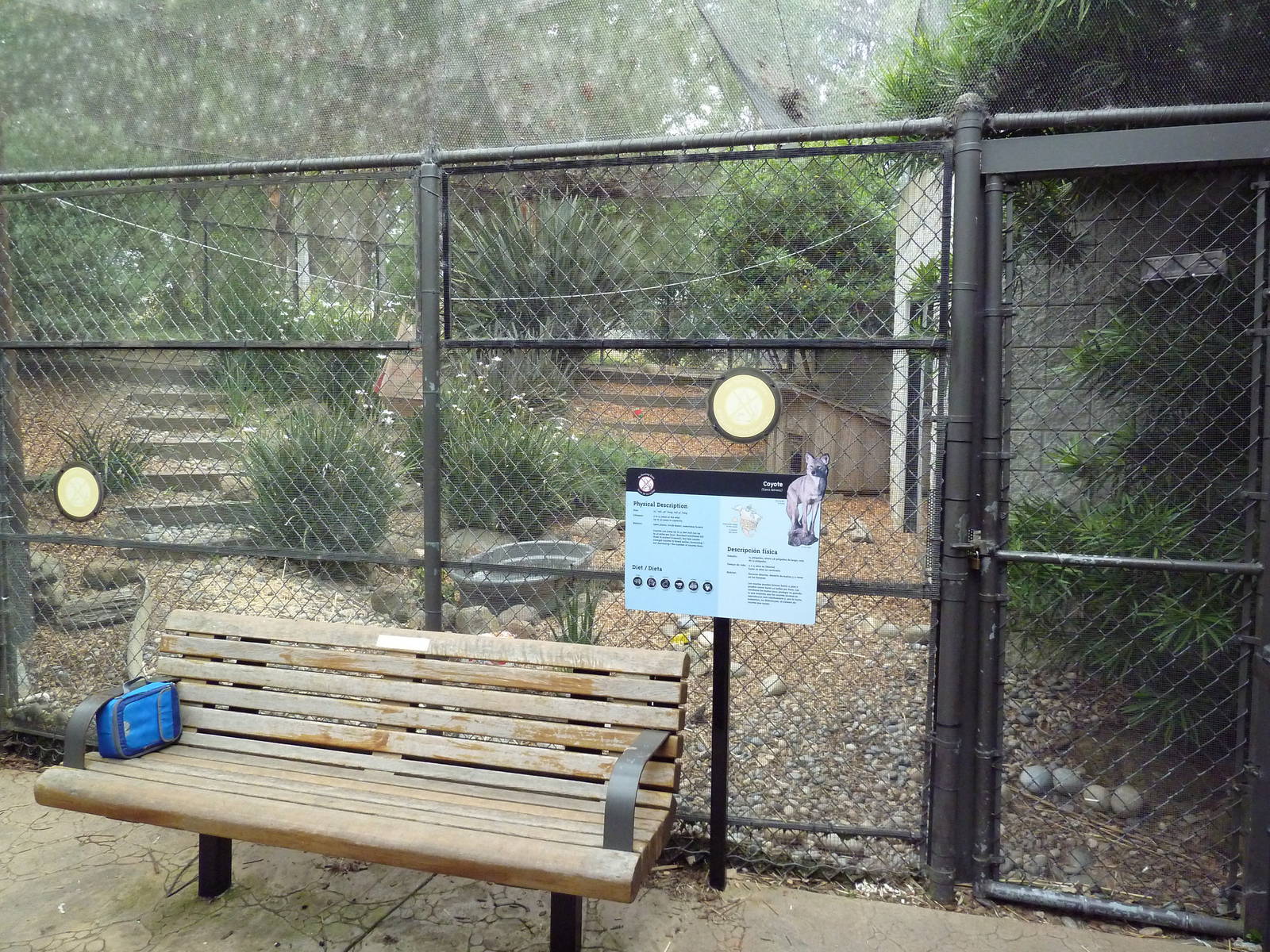 Coyote Exhibit