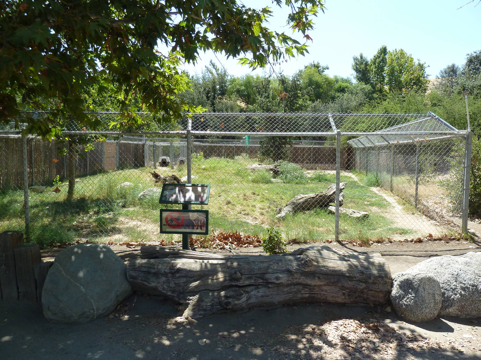 Coyote Exhibit