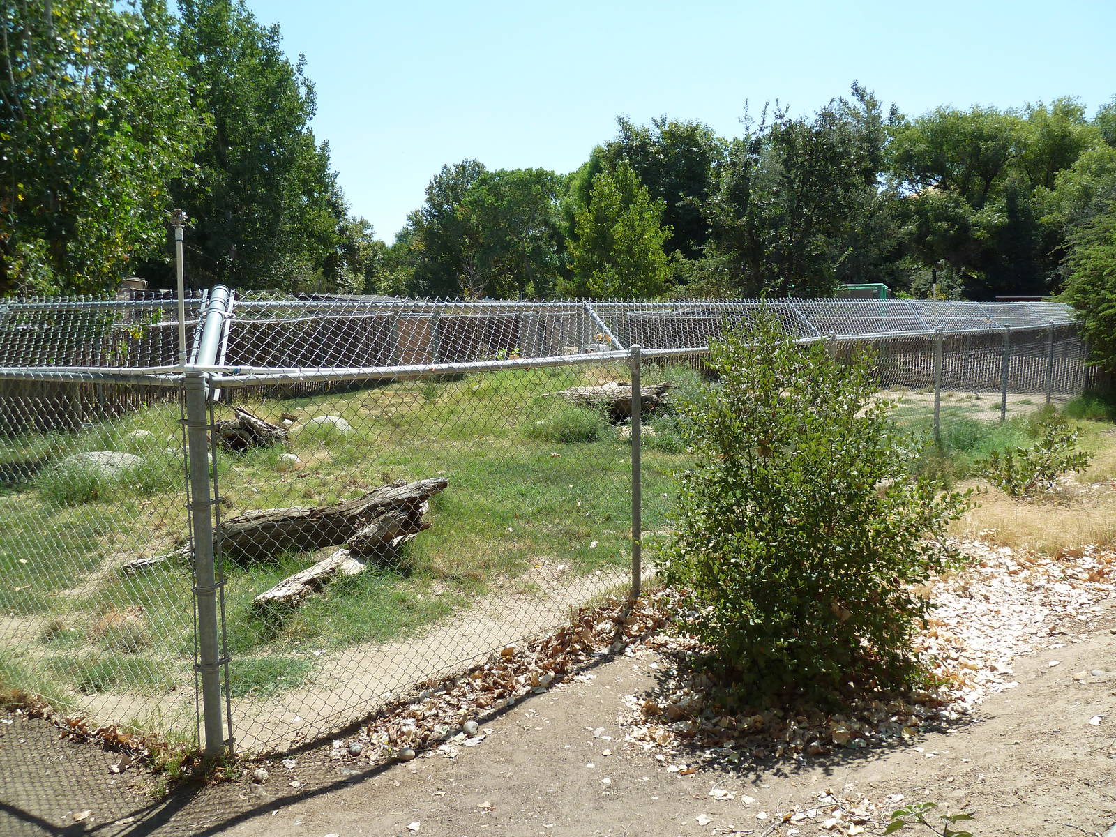 Coyote Exhibit