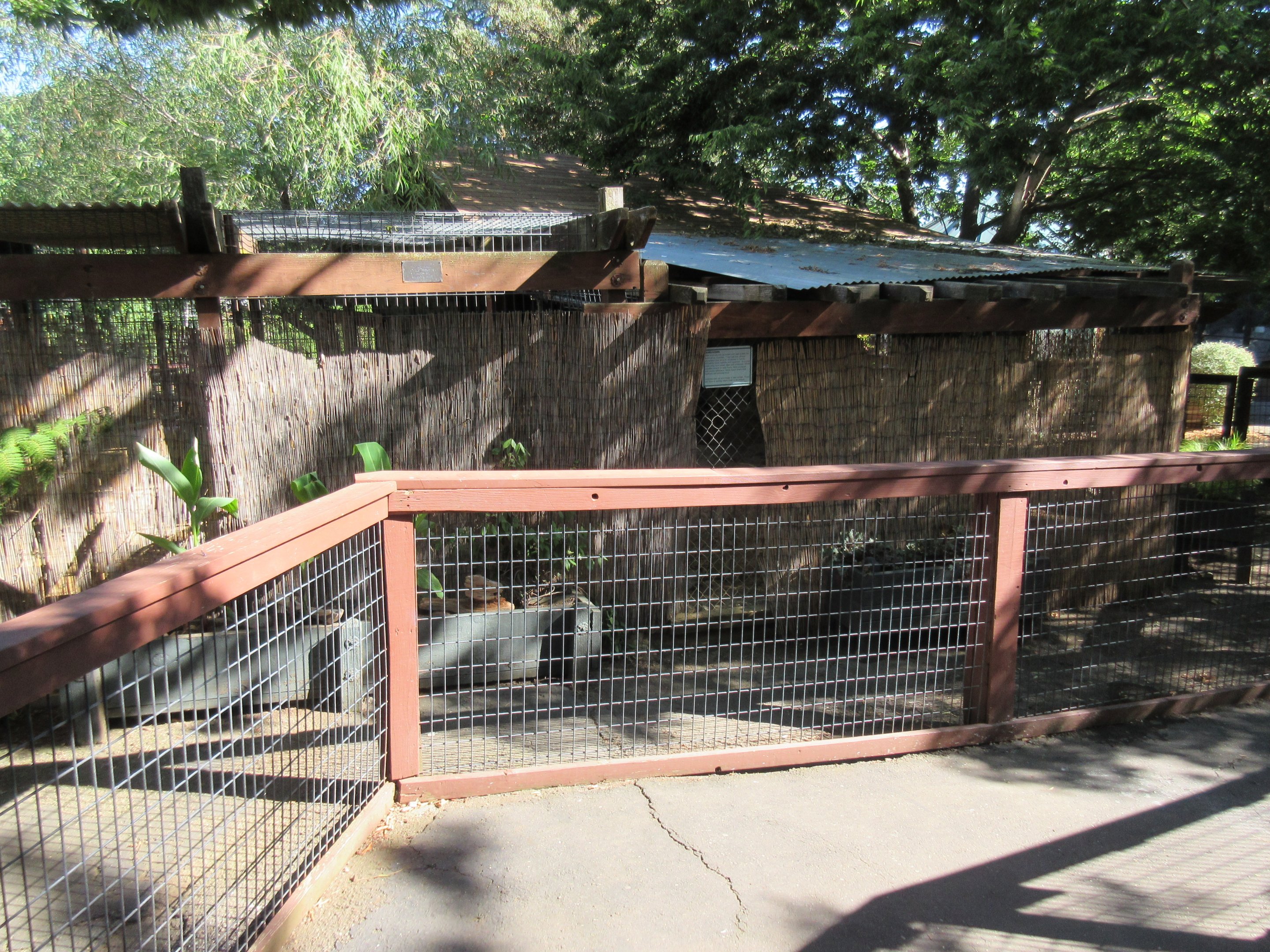 Coyote Exhibit