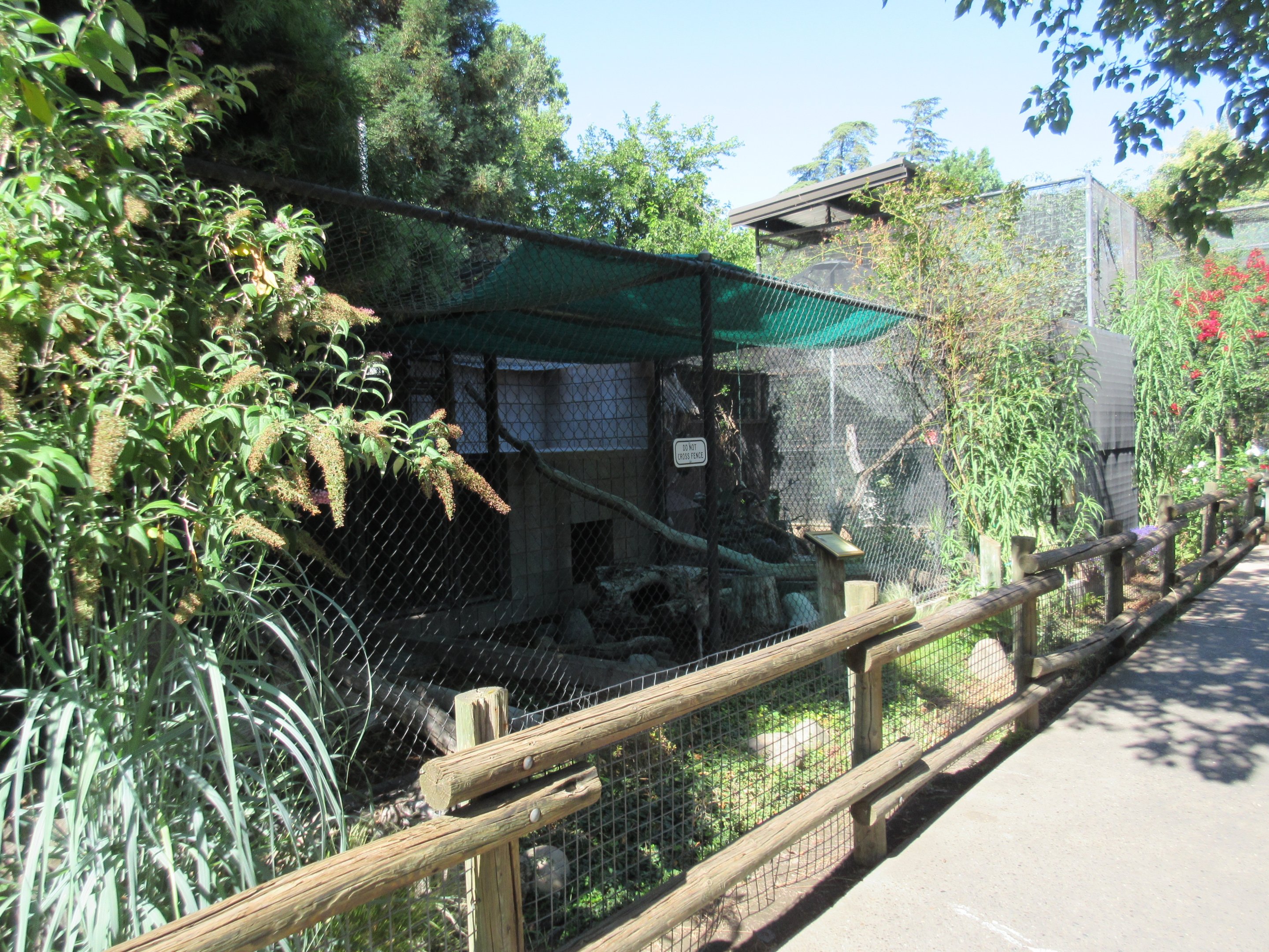 Coyote Exhibit