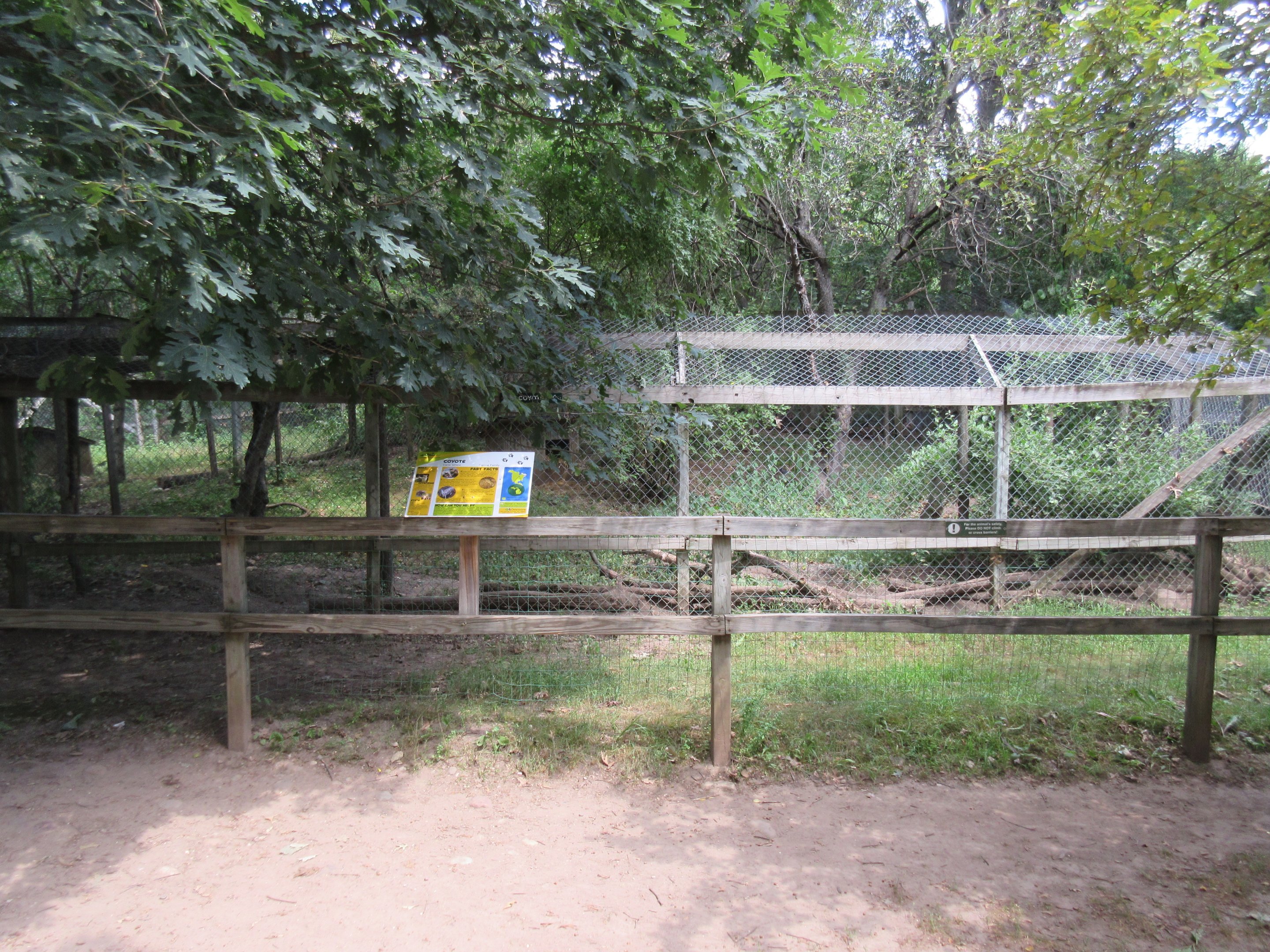 Coyote Exhibit