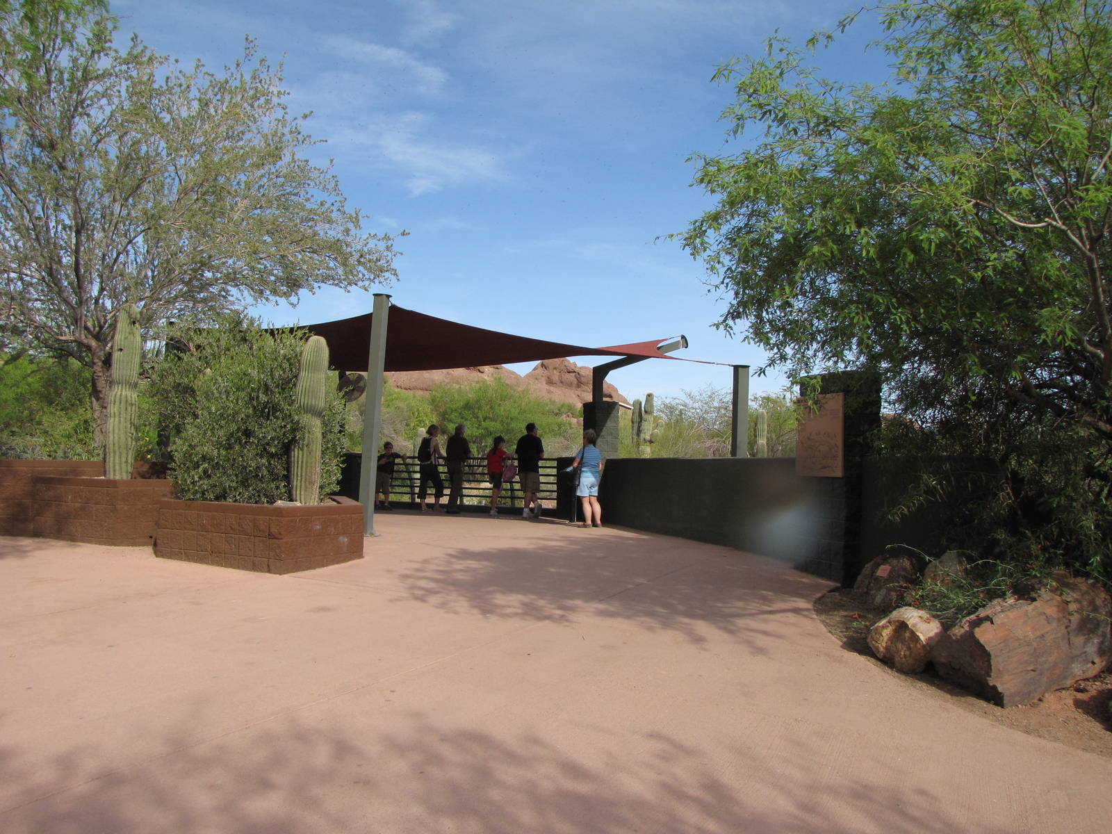 Coyote Habitat Viewing Area