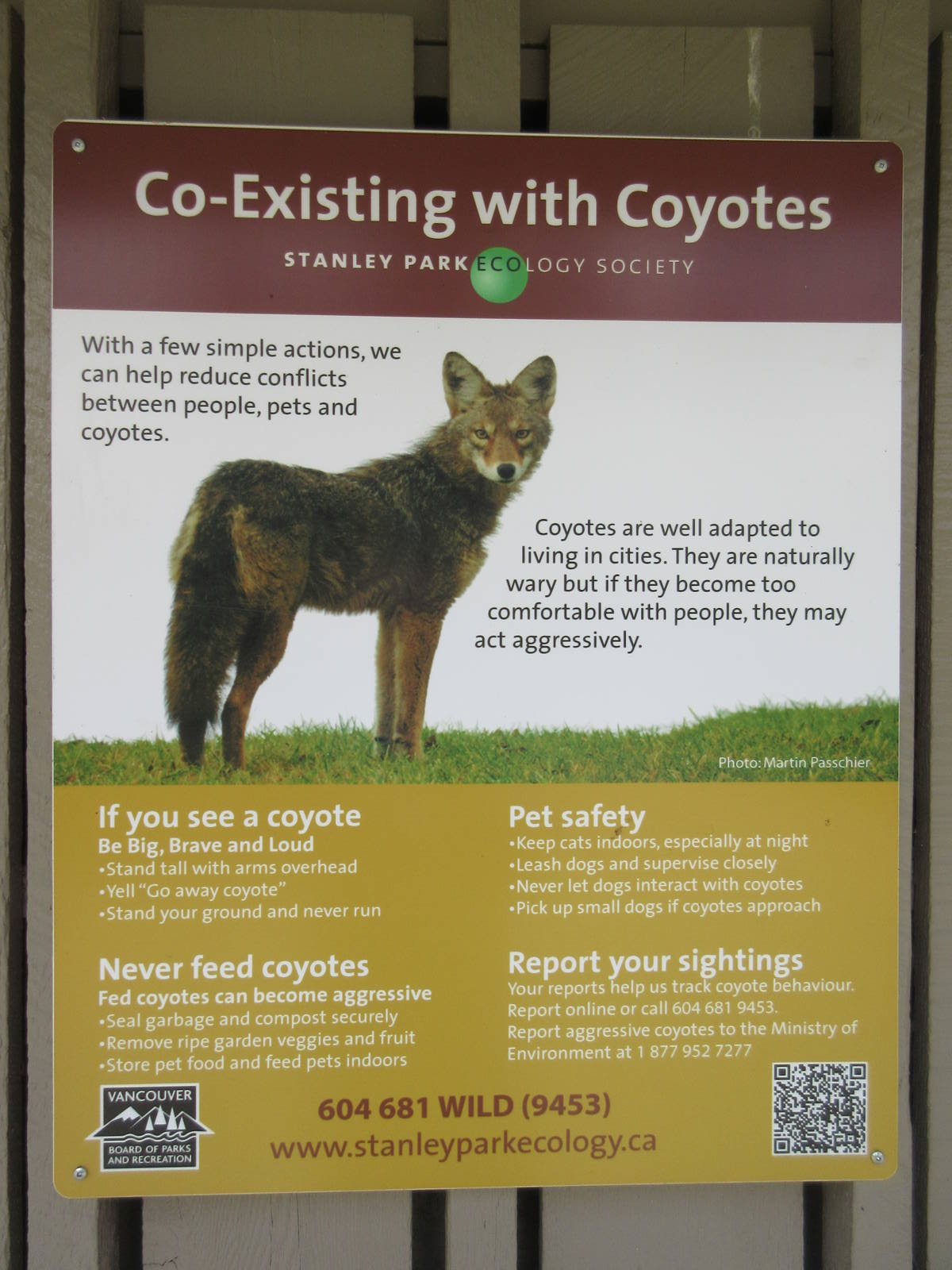 Coyote Sign (in 1,000 Acre Stanley Park)