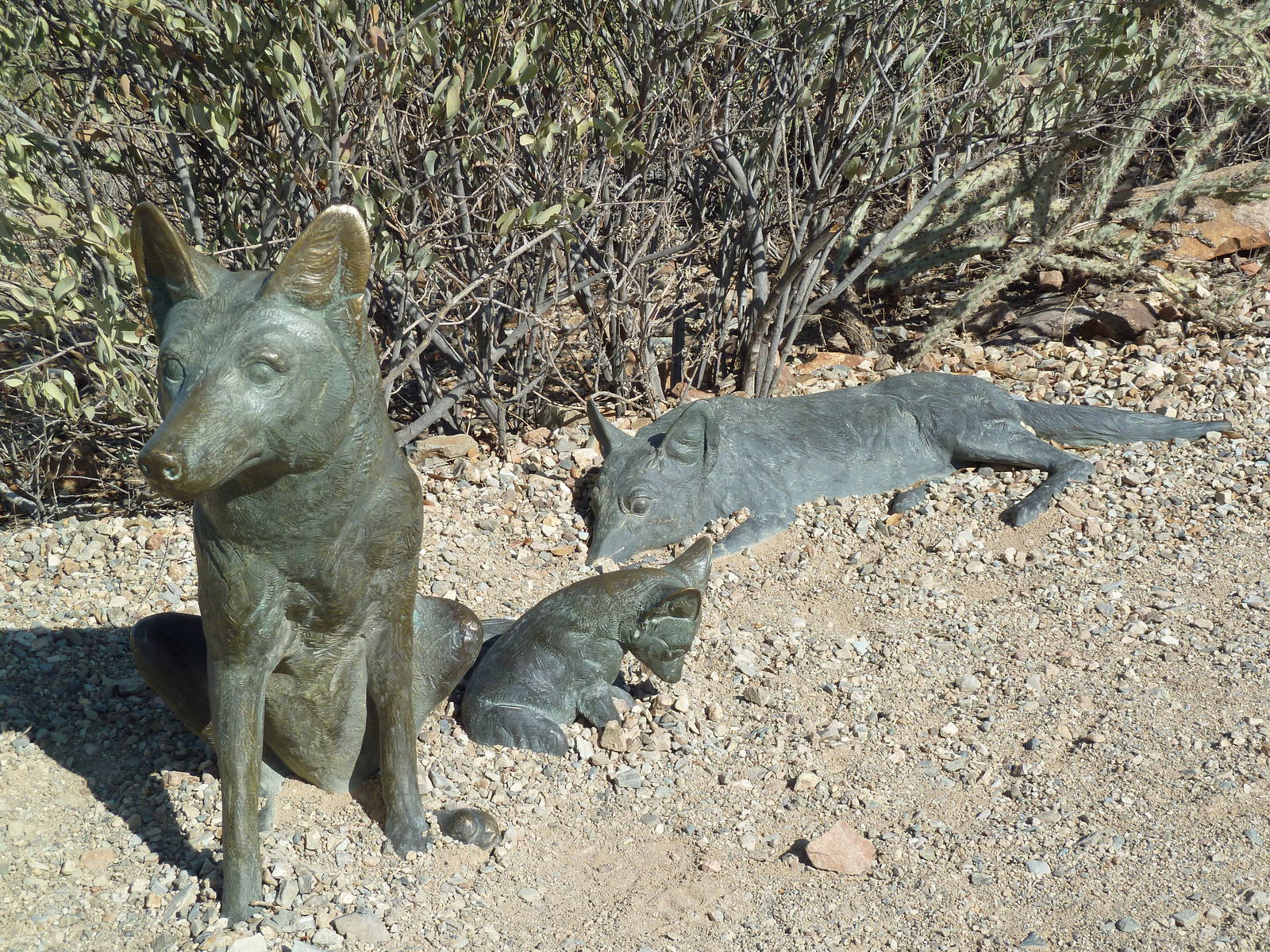 Coyote Statues