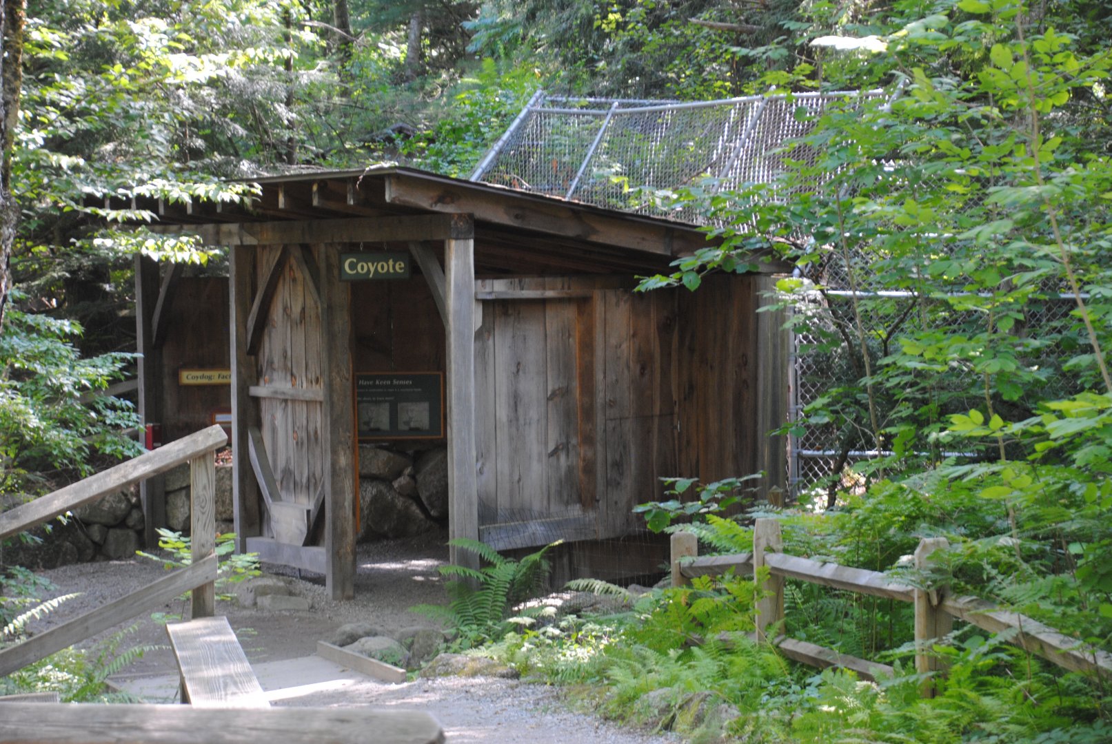 Coyote viewing shelter