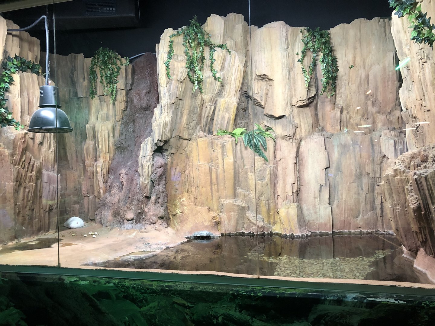 Coypu enclosure at the Emaar aquarium