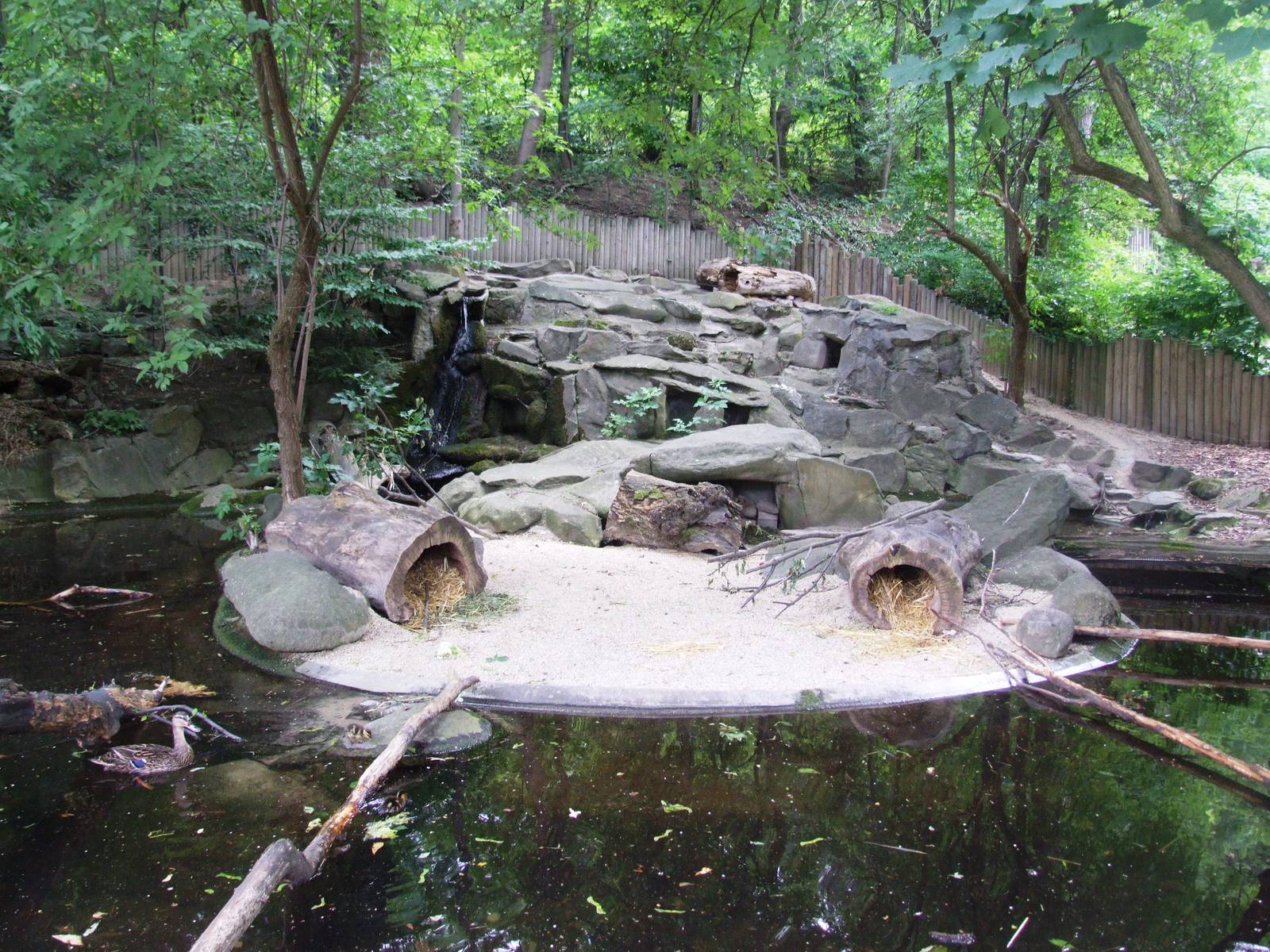 Coypu Enclosure at Vienna, 14/06/13