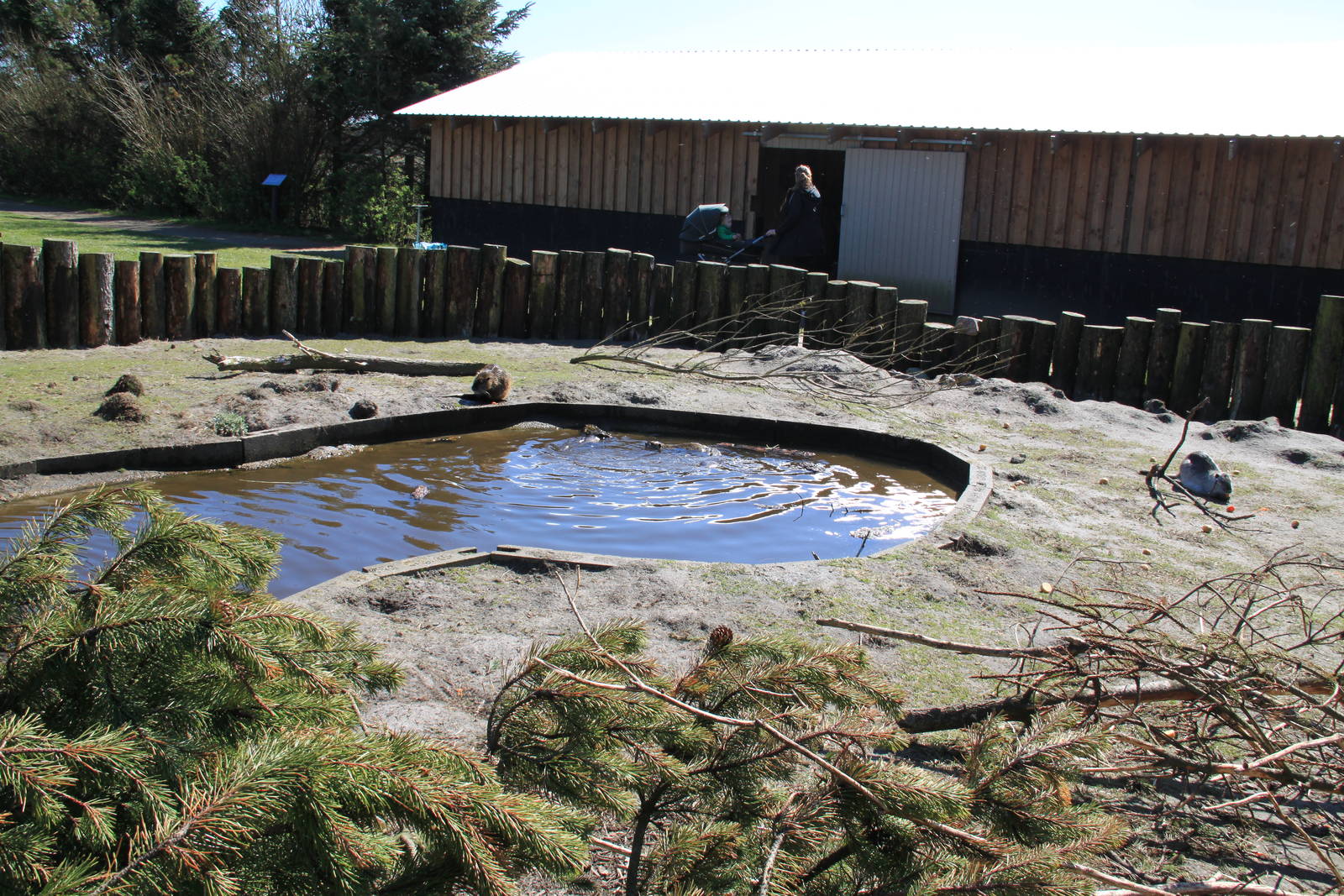 Coypu Enclosure