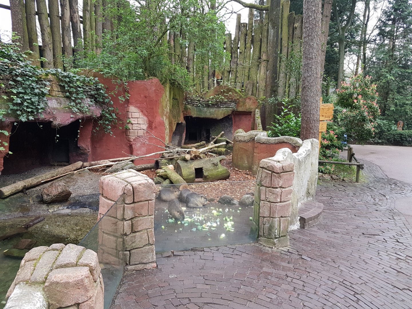 Coypu-enclosure