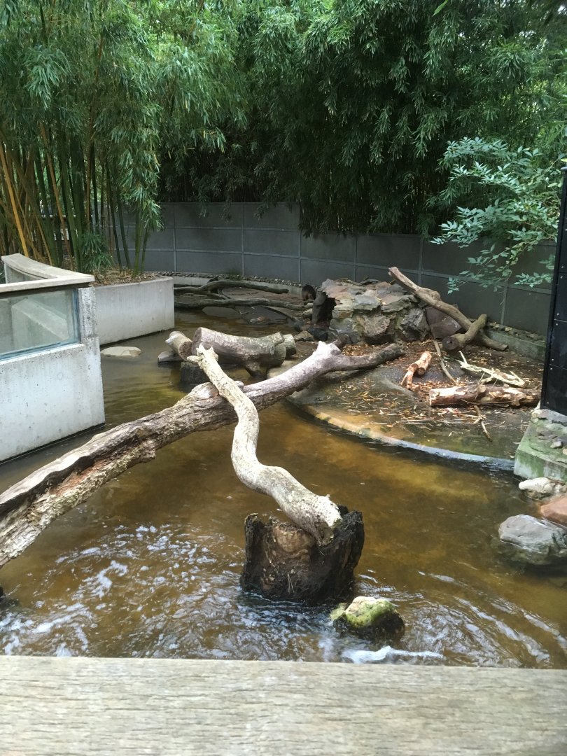 Coypu enclosure