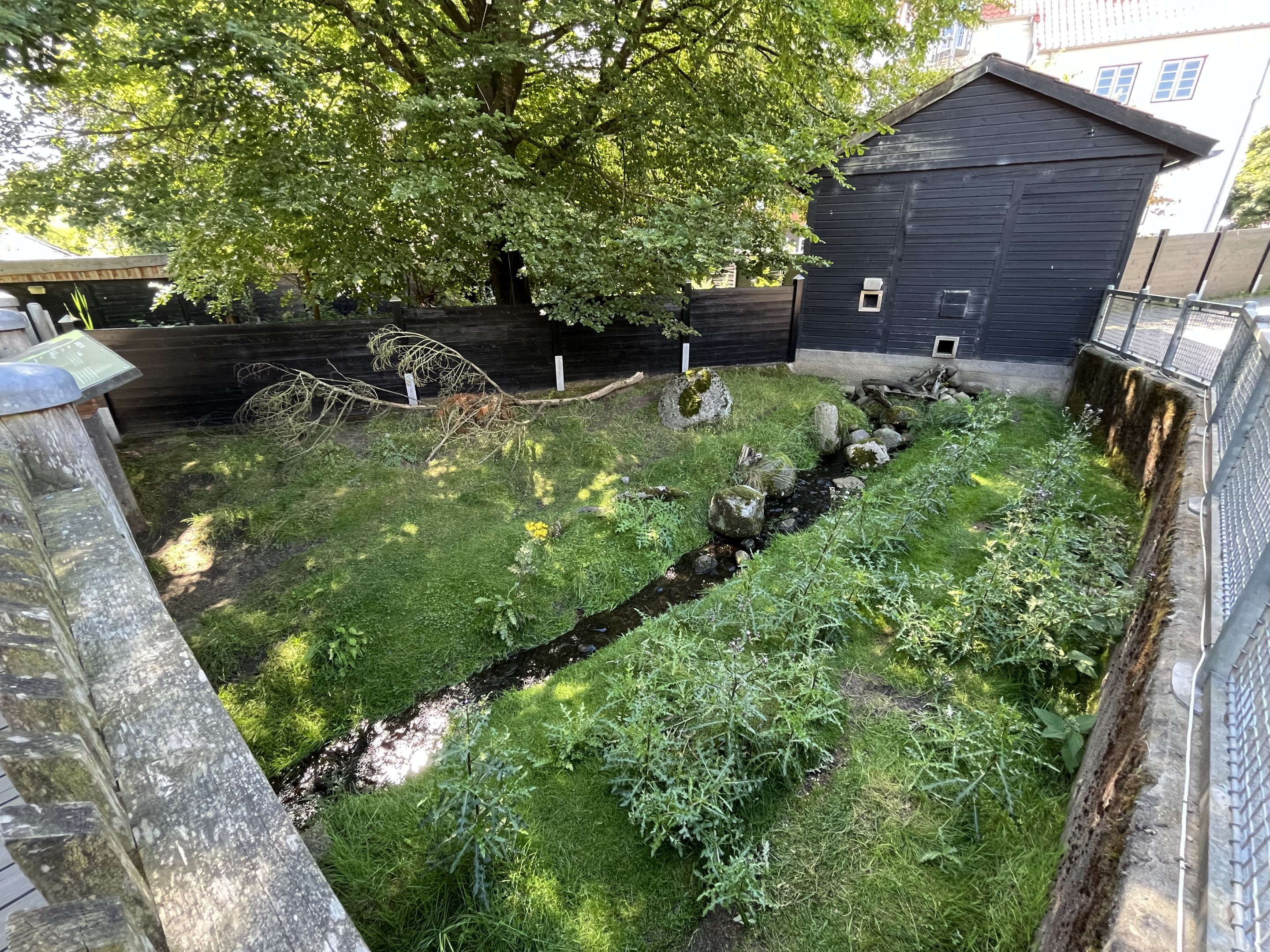 Coypu Exhibit (first half)