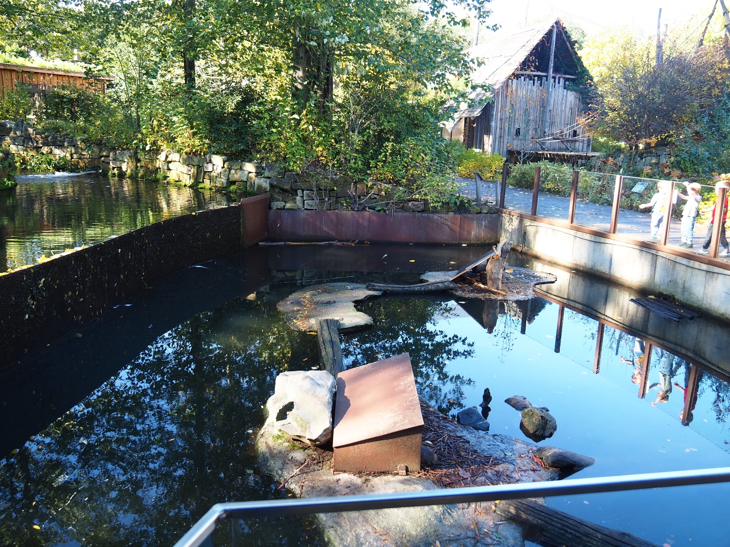 Coypu exhibit (Oct 13th, 2018)
