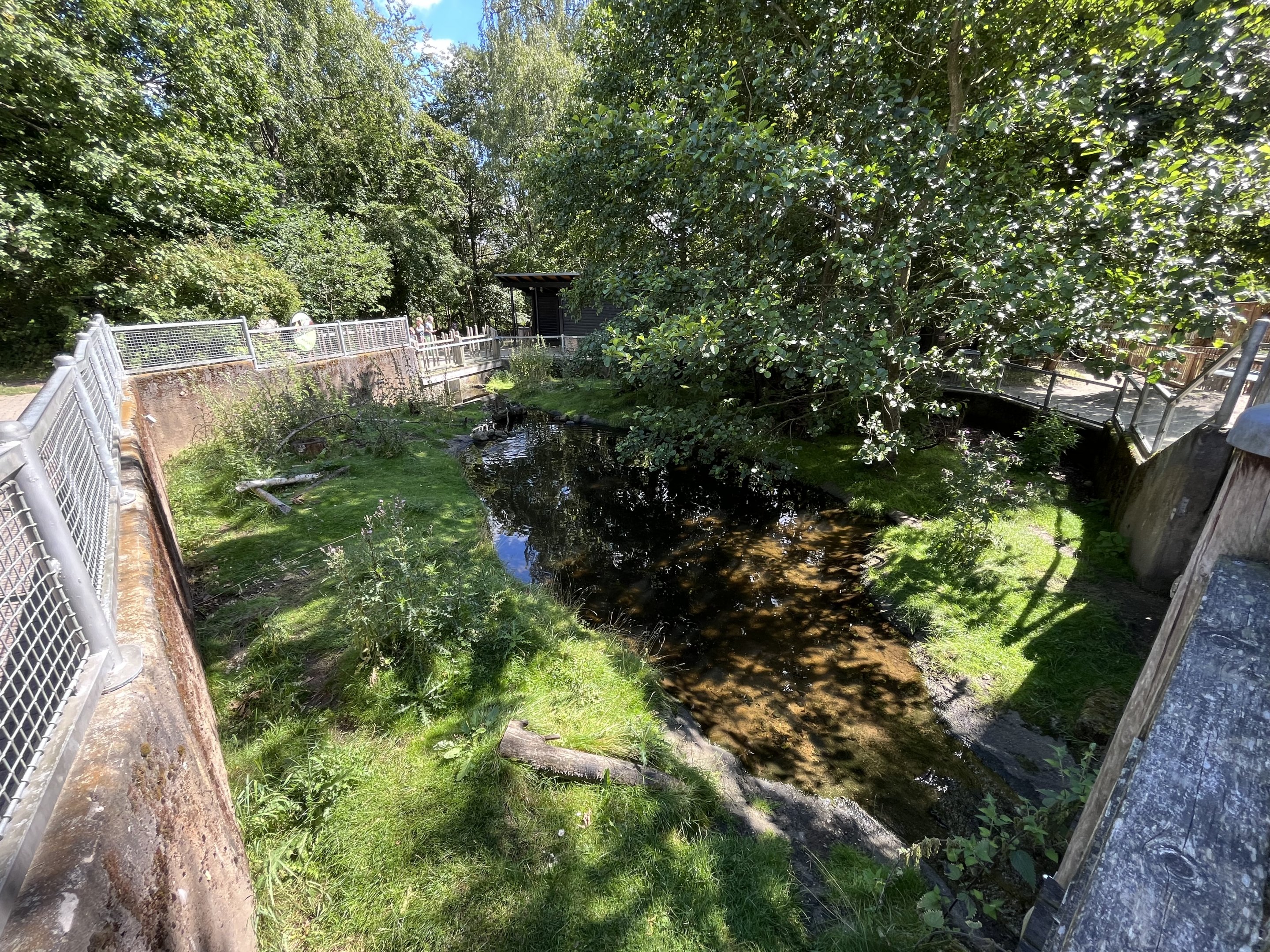 Coypu Exhibit (second half)