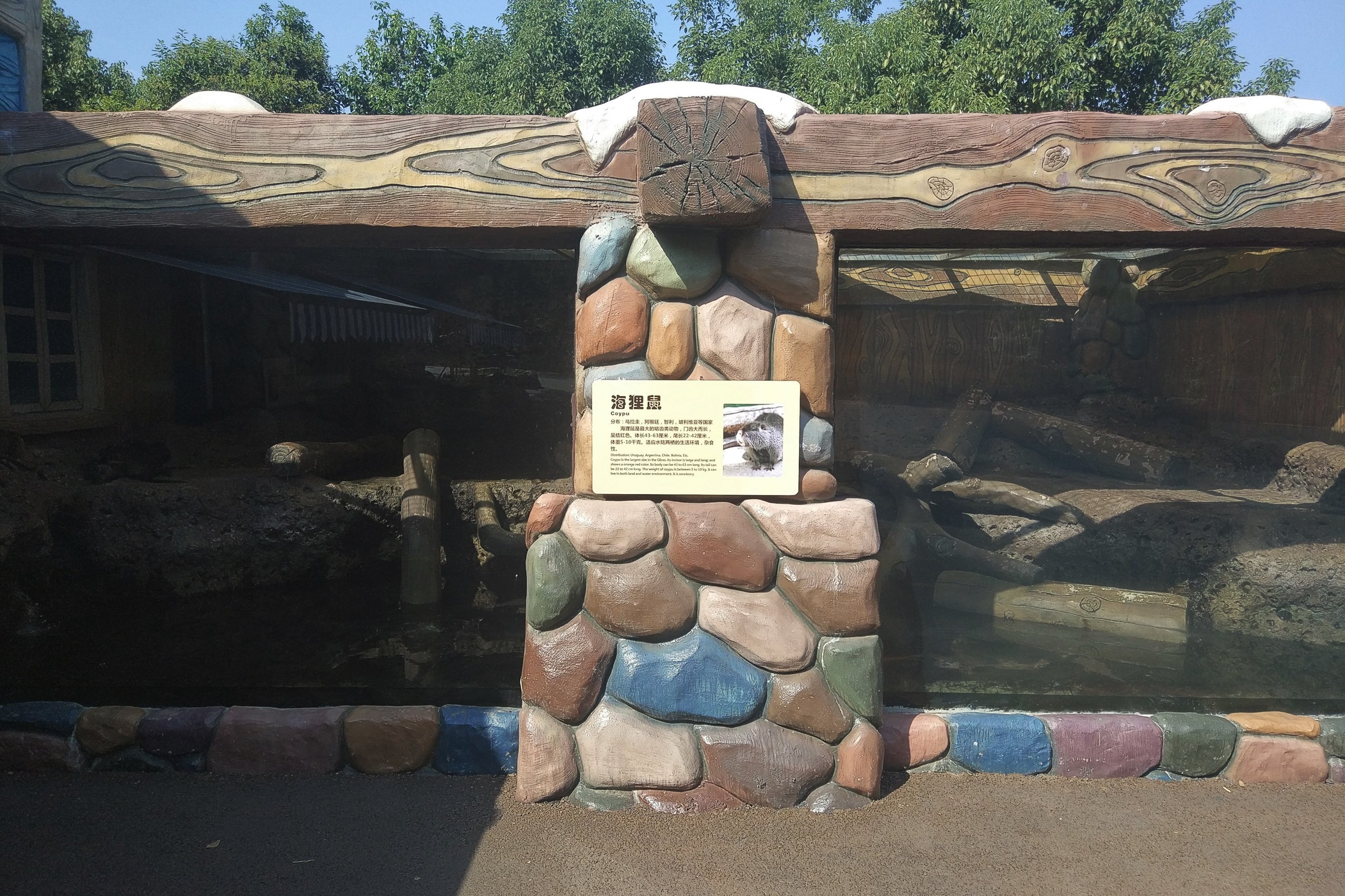 Coypu Exhibit