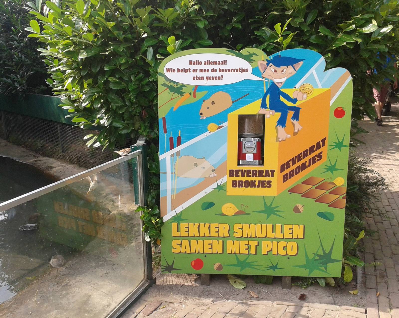 Coypu feeding automate