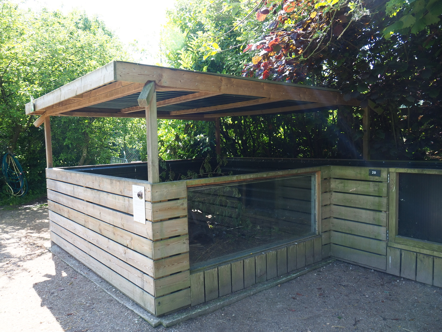 Coypu/Nutria exhibit, 2019-06-01