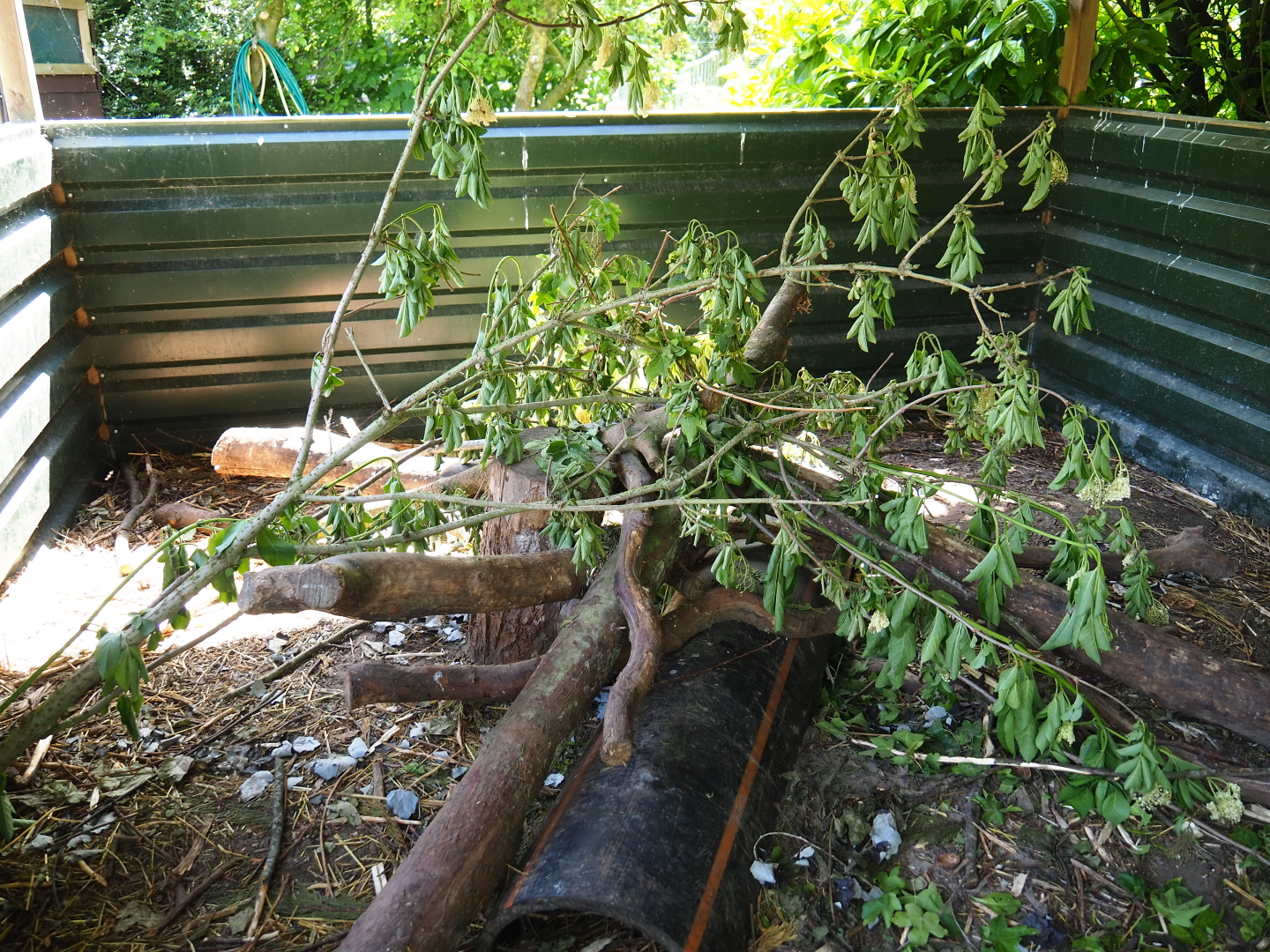 Coypu/Nutria exhibit, 2019-06-01