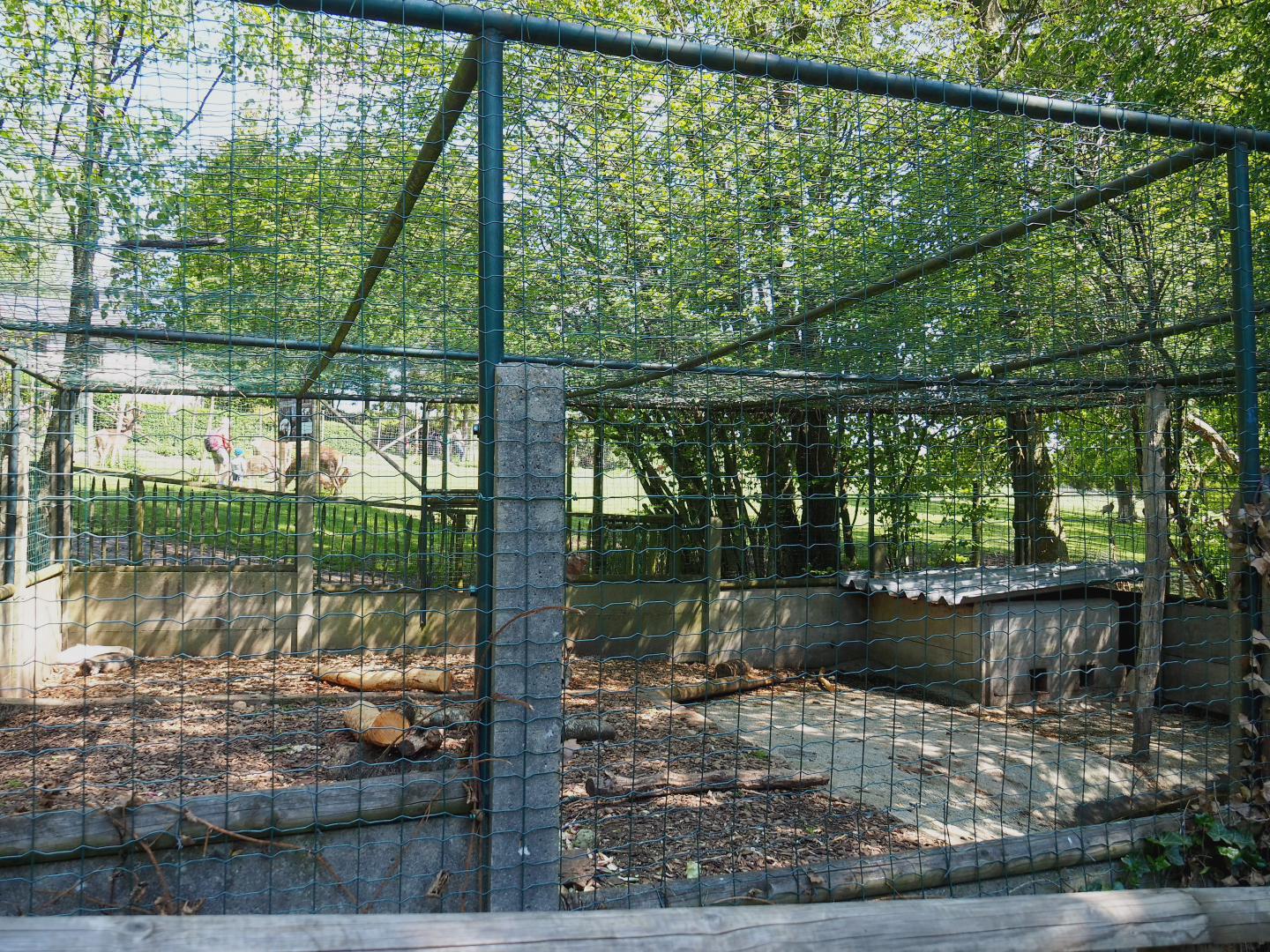 Coypu/Nutria exhibit, 2021-05-29