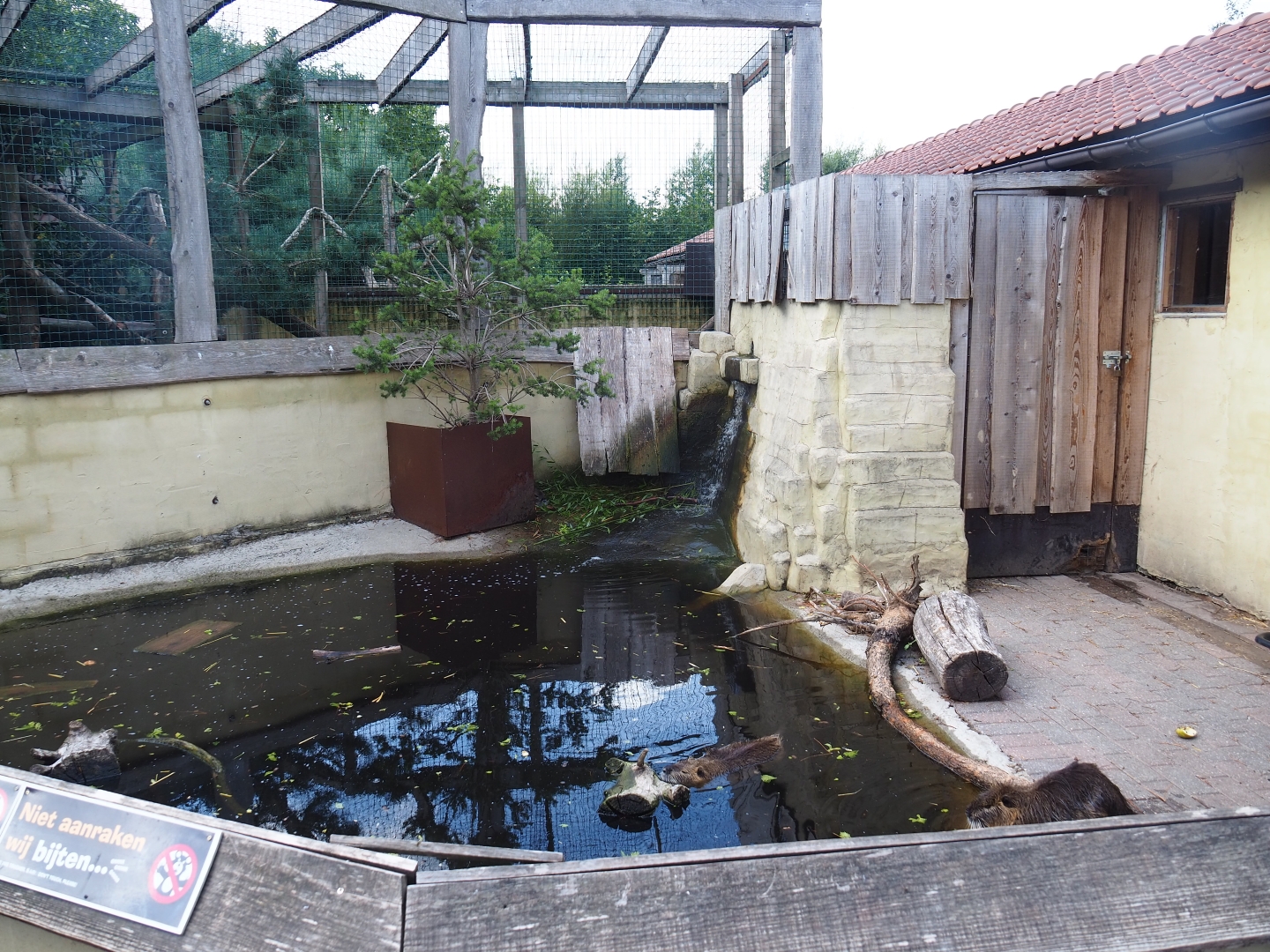 Coypu/Nutria exhibit