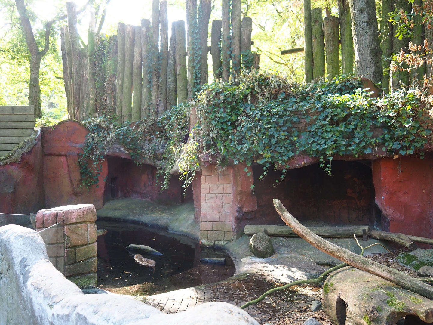 Coypu or nutria exhibit