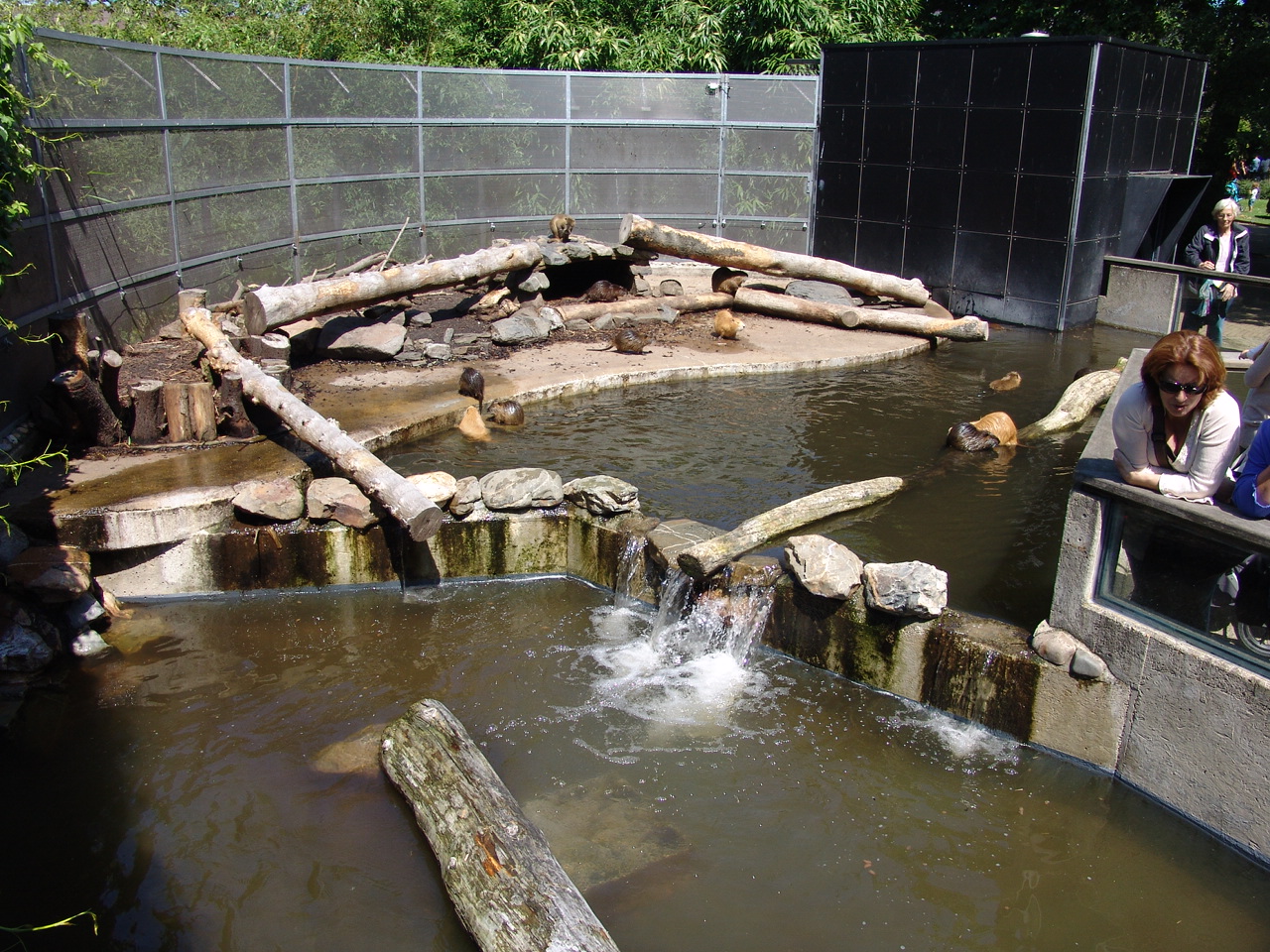 Coypu's (Myocastor coypus) Enclosure