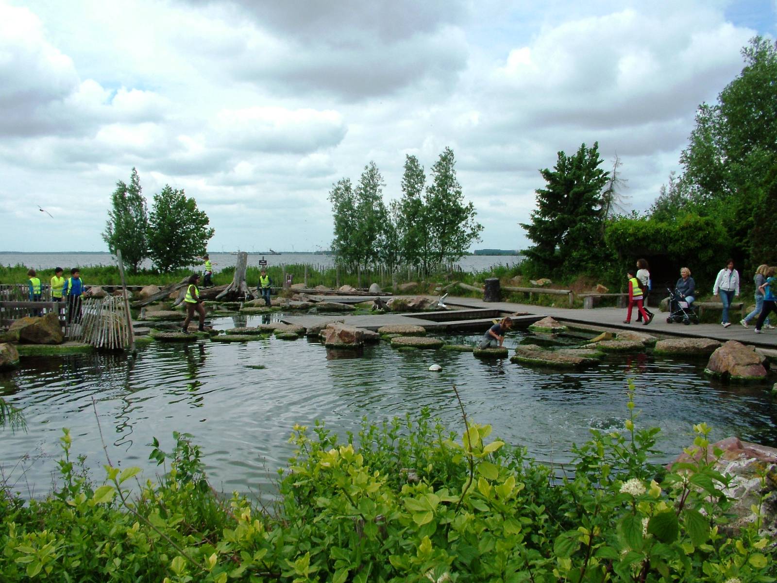 Crab Coast at Harderwijk, 01/06/12