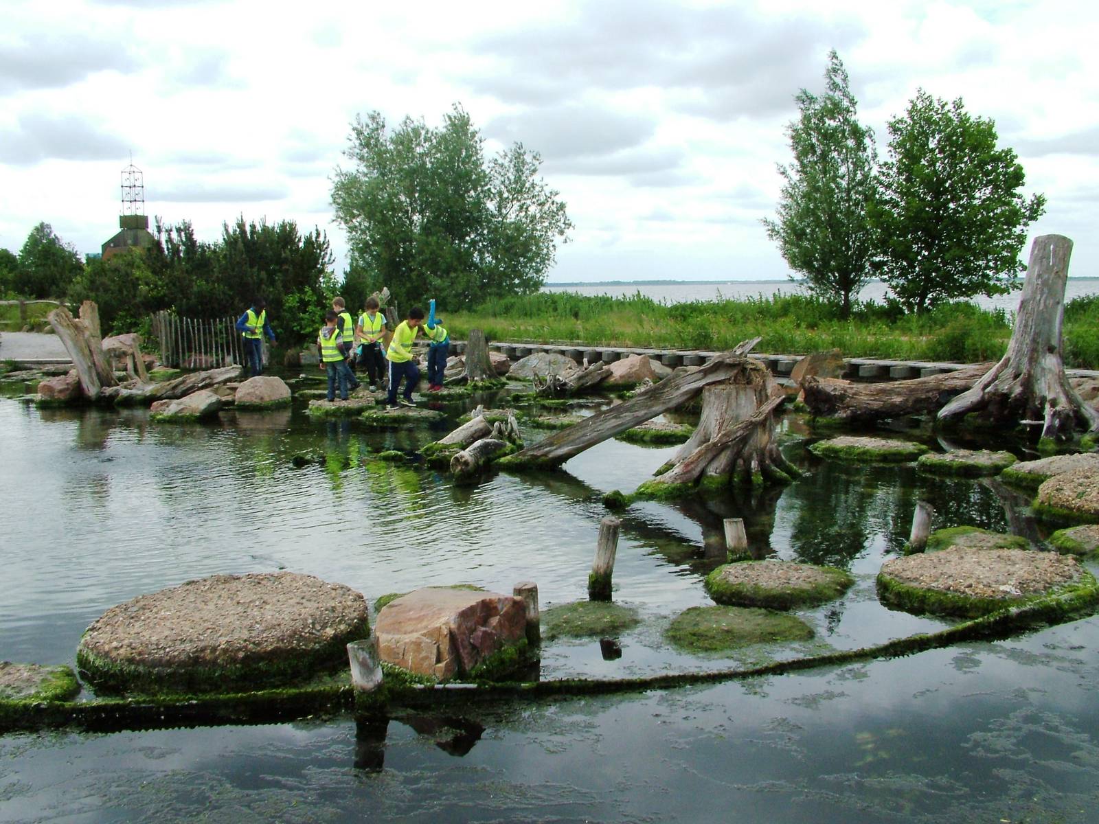 Crab Coast at Harderwijk, 01/06/12