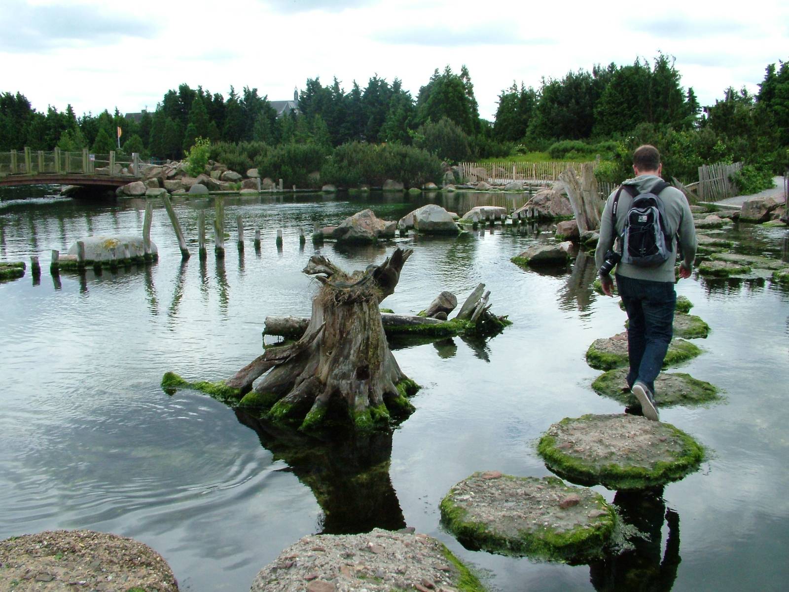 Crab Coast at Harderwijk, 01/06/12