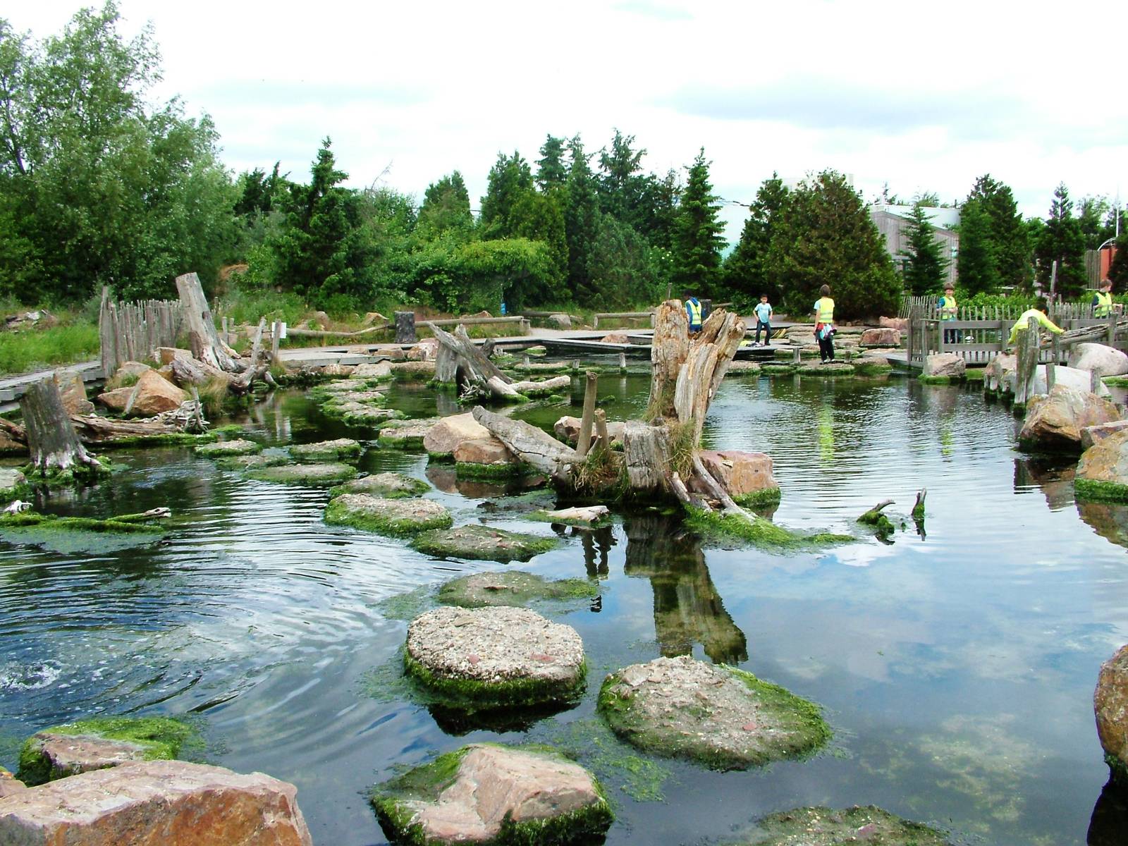 Crab Coast at Harderwijk, 01/06/12