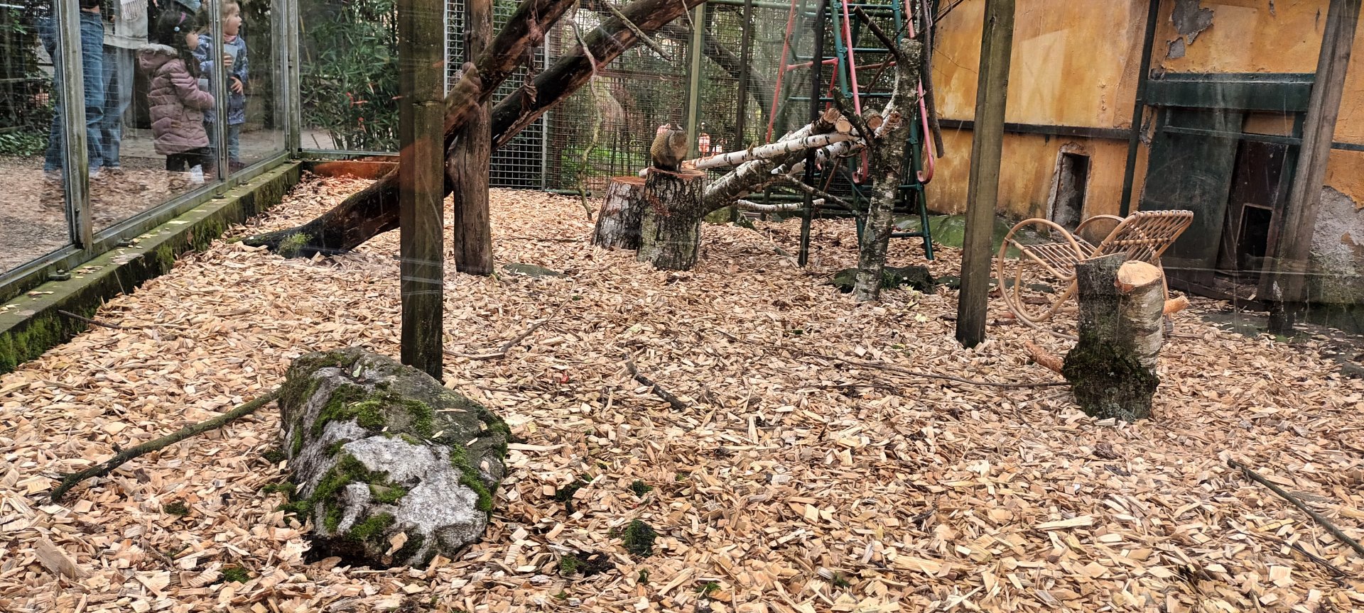 Crab eating Macaque and Azaras Agouti Enclosure