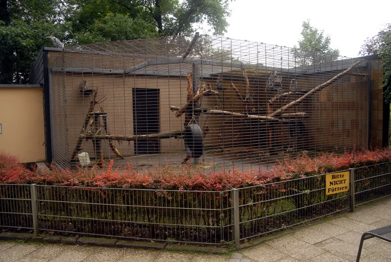 Crab-eating macaque cage at solingen