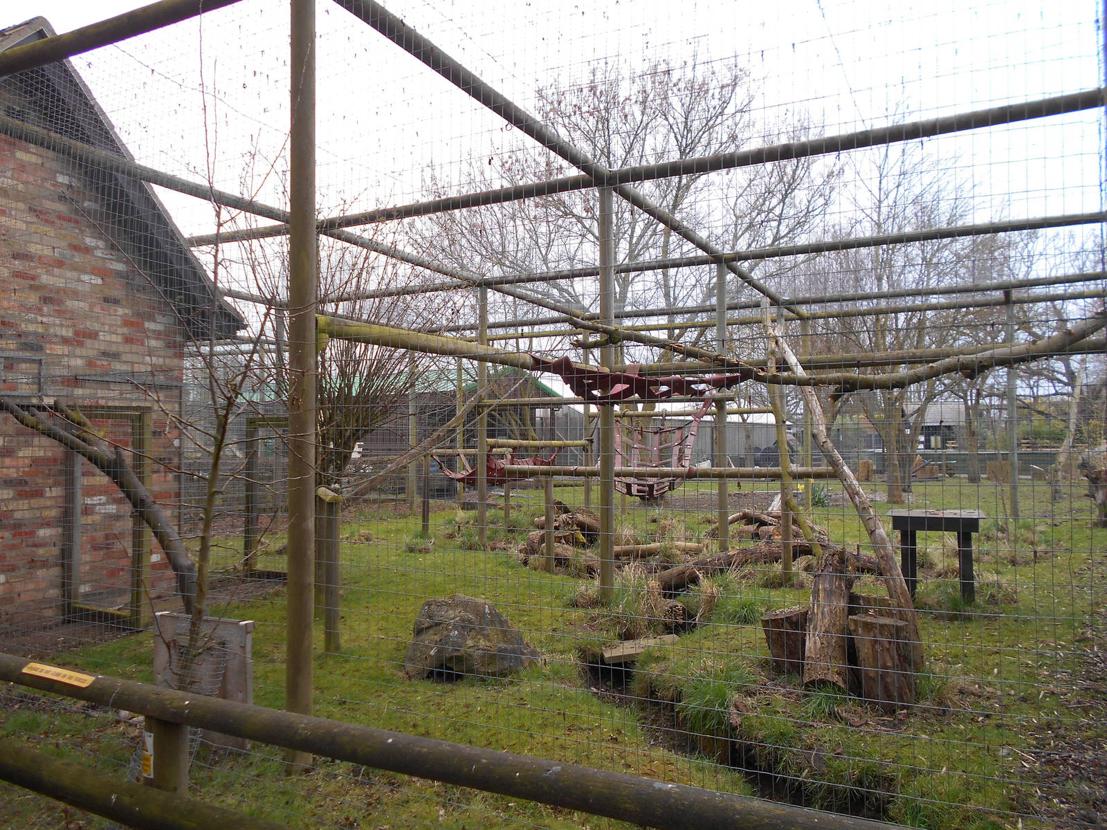 Crab-eating Macaque enclore - March 15th 2016