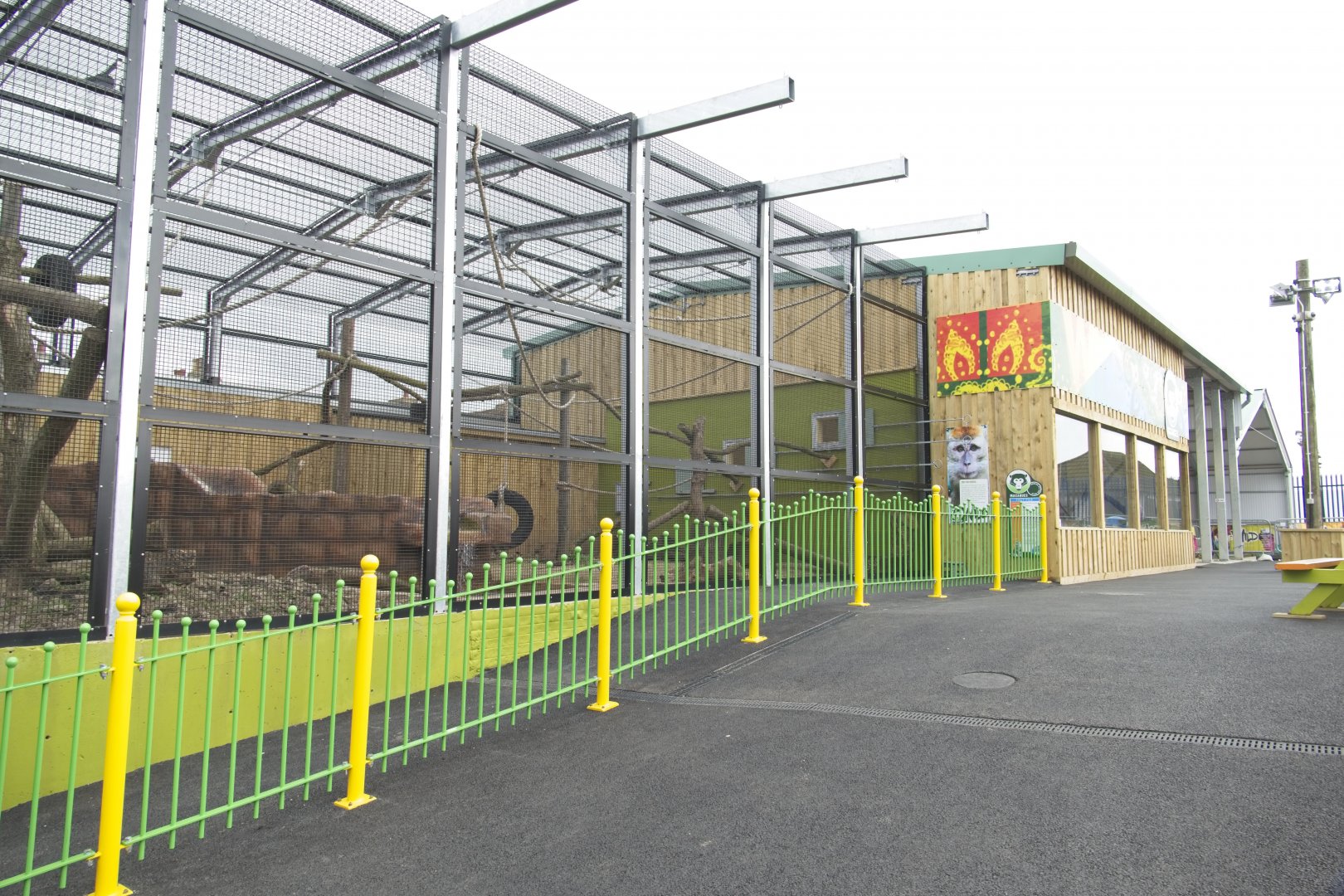 Crab Eating Macaque enclosue