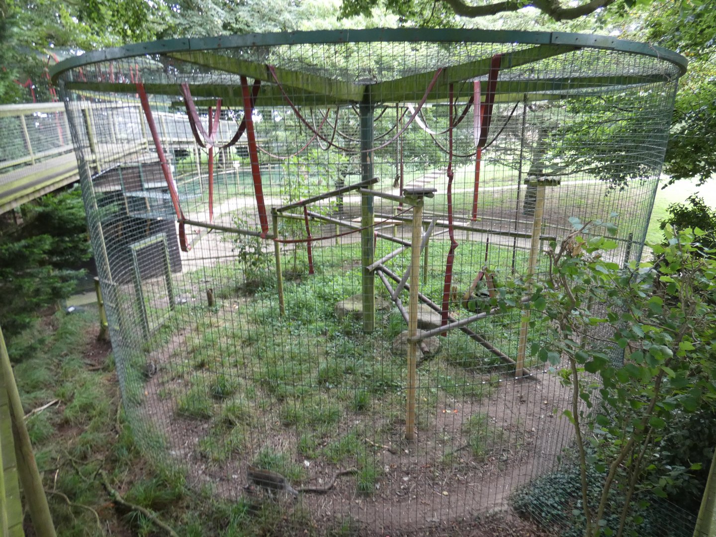 Crab-eating macaque enclosure