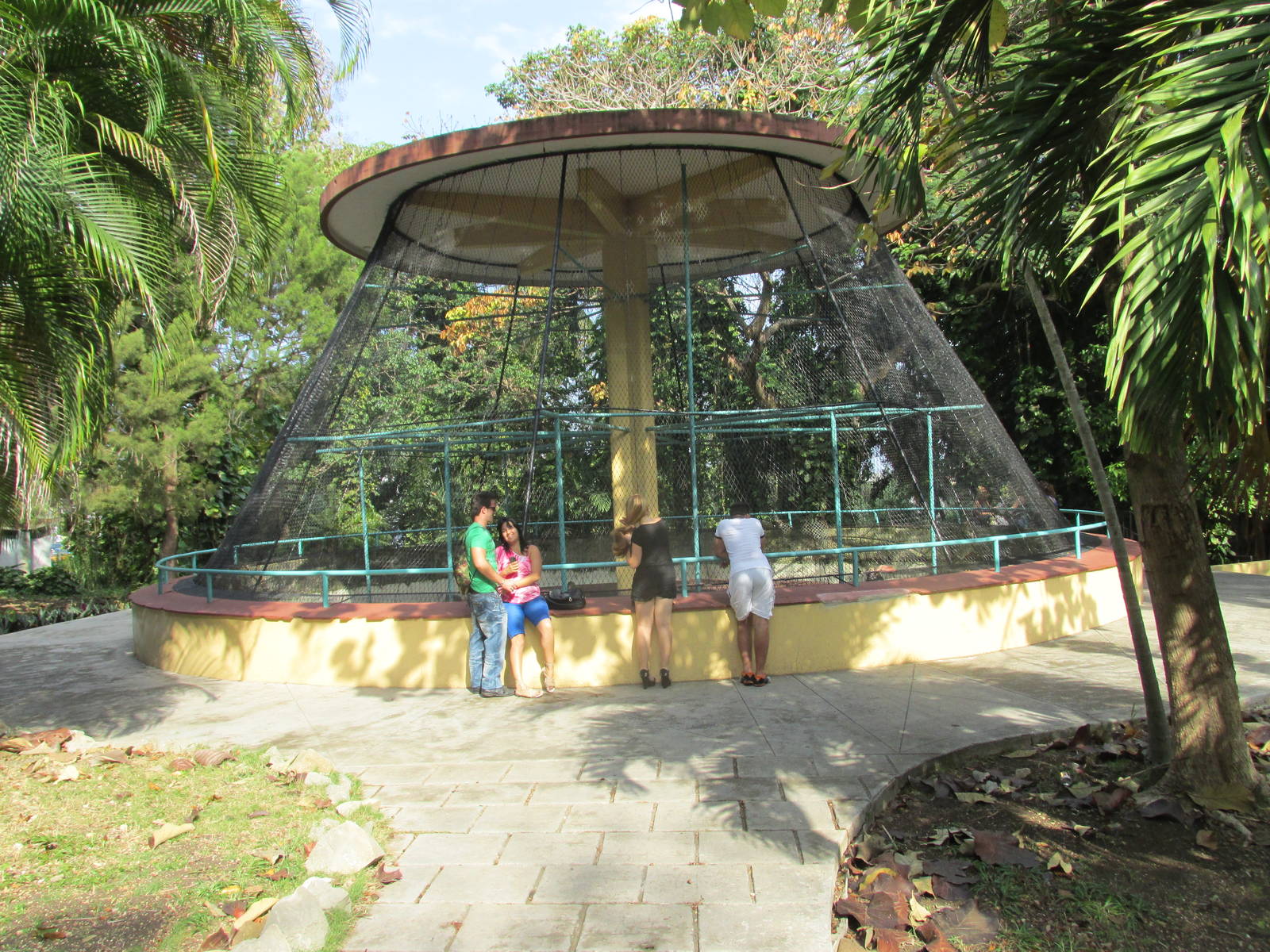 Crab eating macaque exhibit Havana Zoo