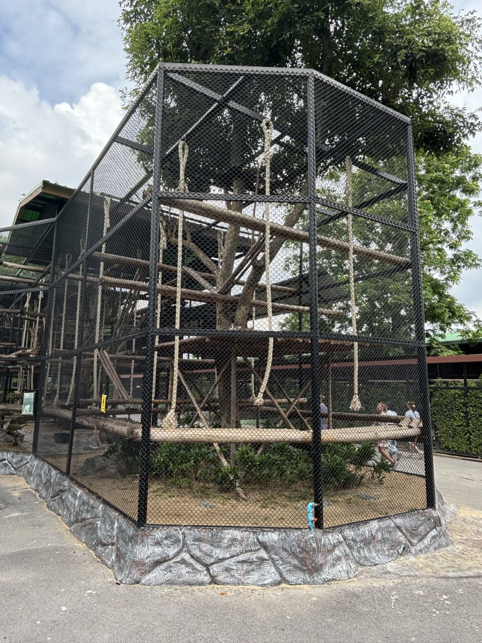 Crab-eating Macaque Exhibit - Lion Park