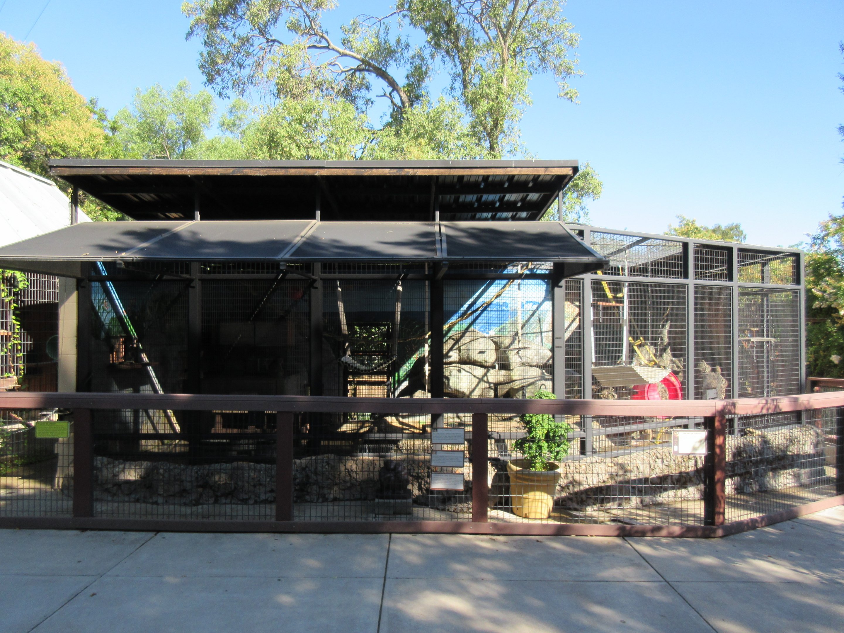 Crab-Eating Macaque Exhibit