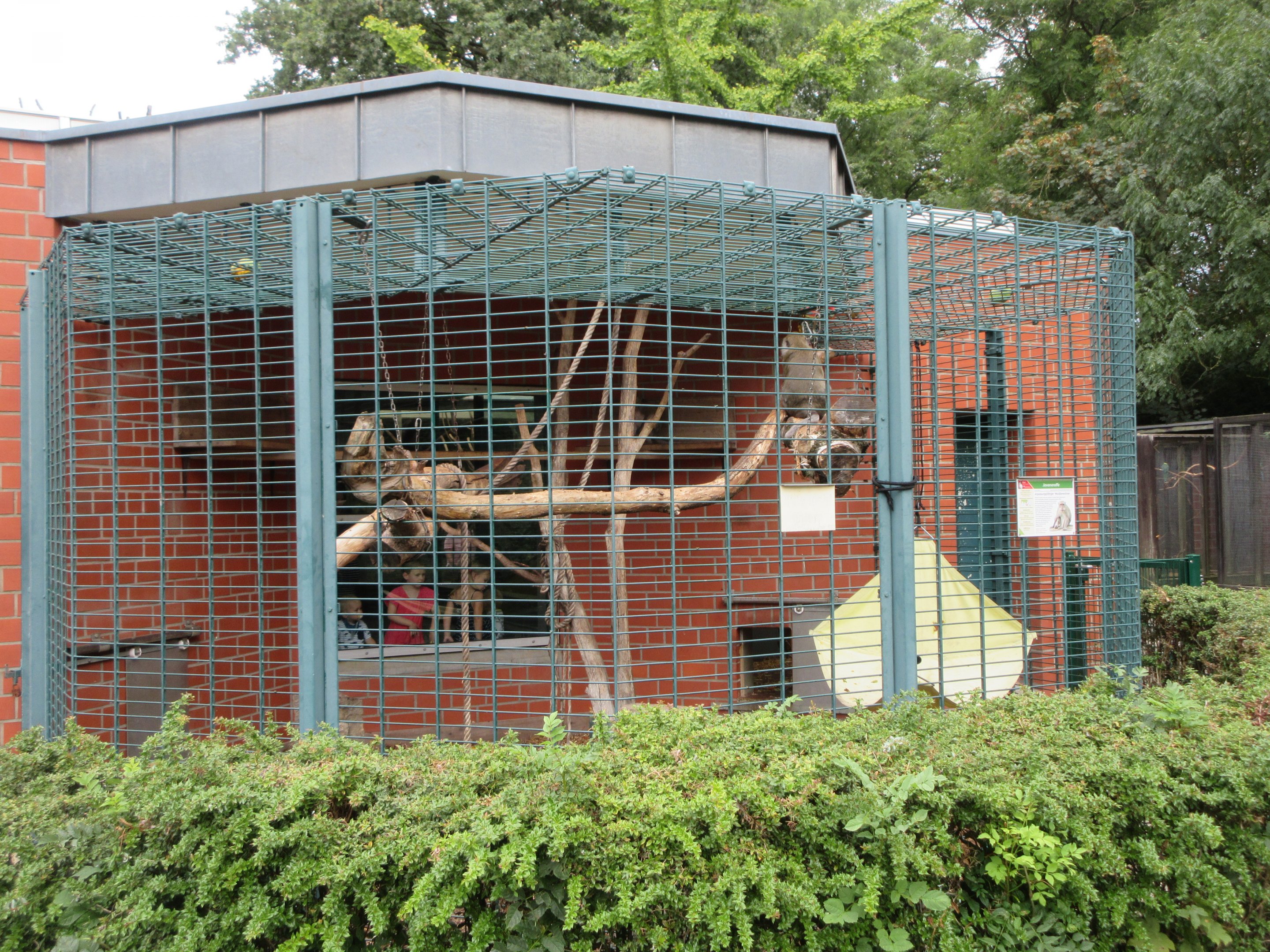 Crab-eating Macaque Exhibit