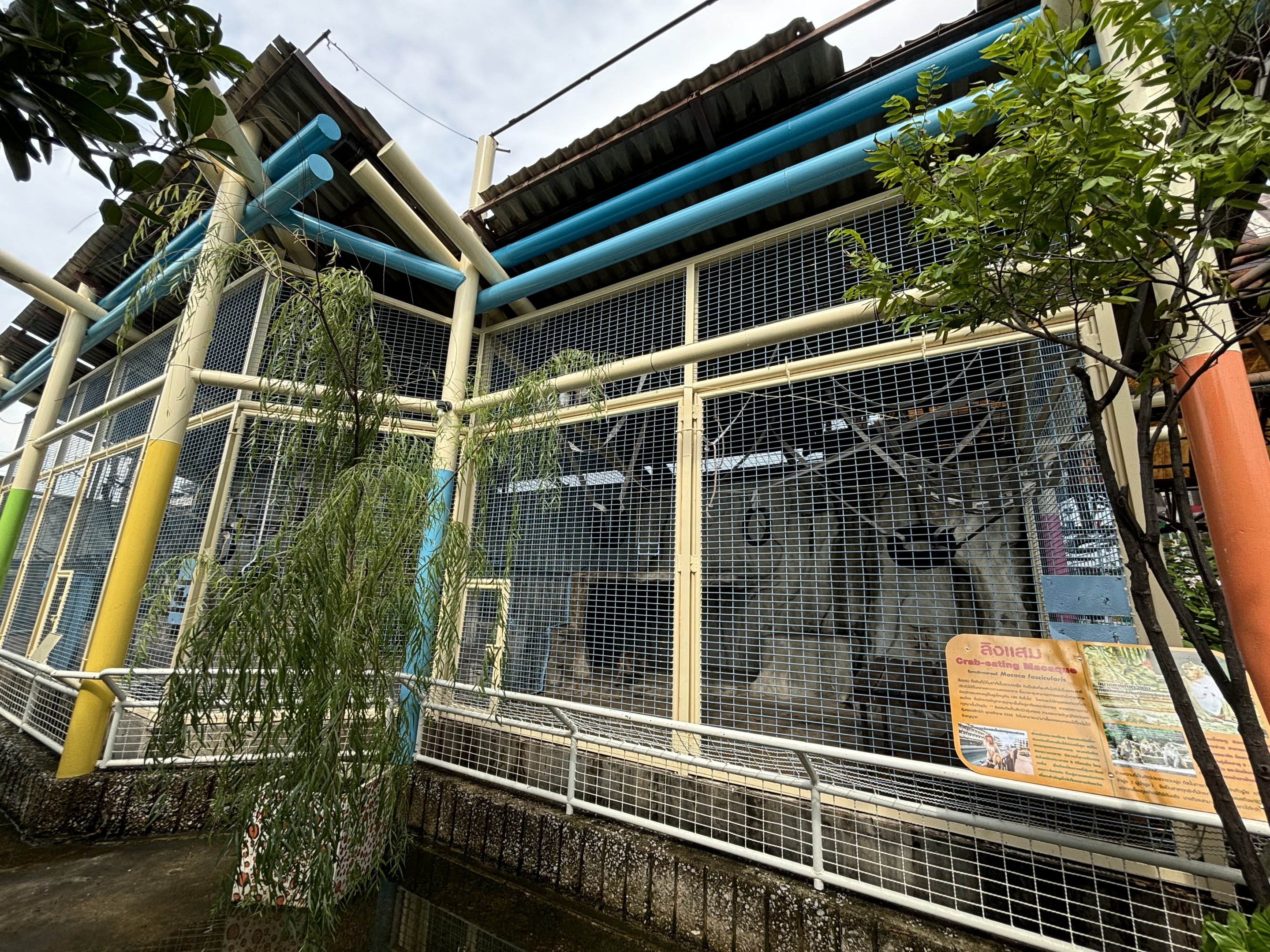Crab-eating Macaque Exhibit