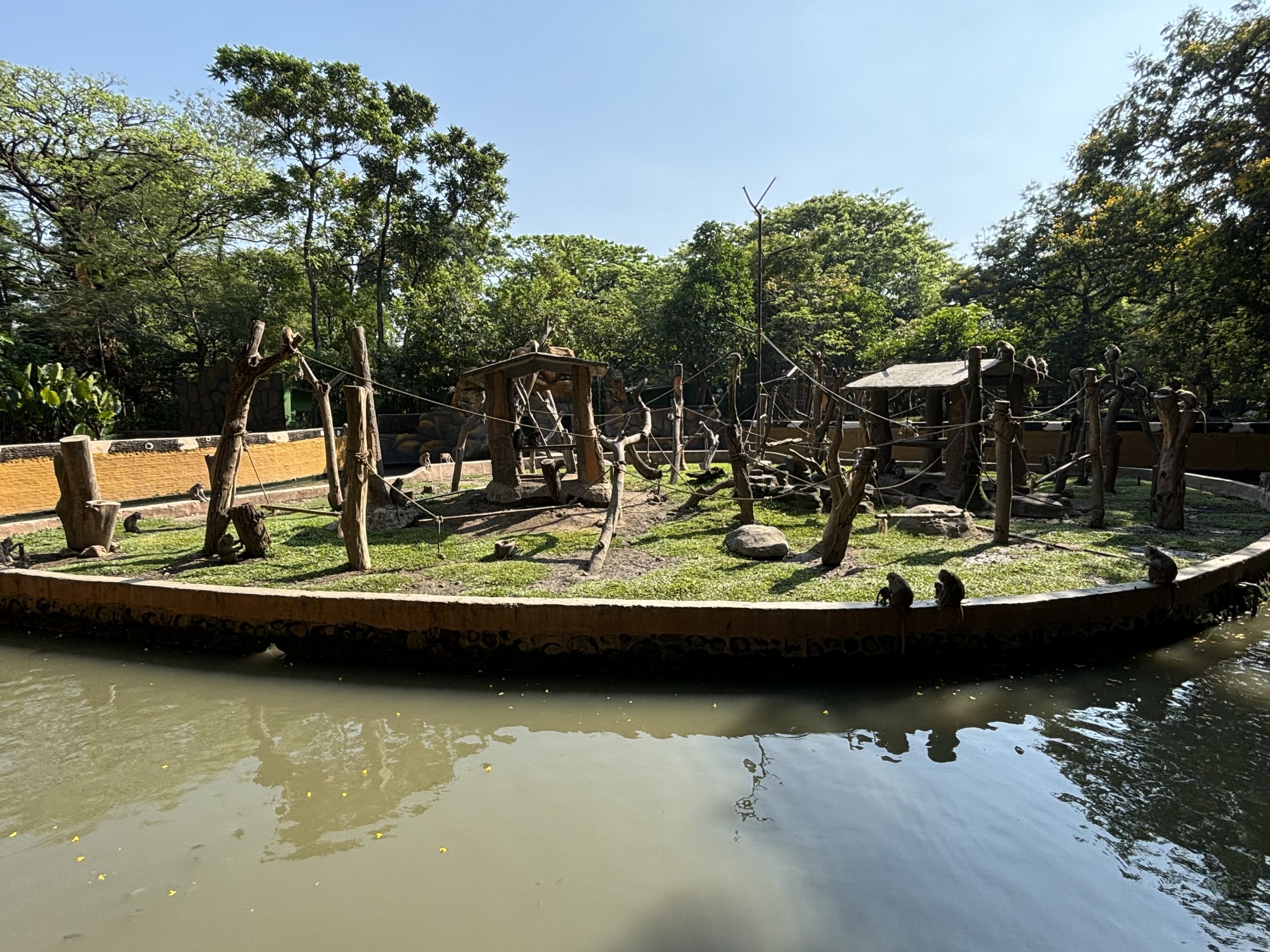 Crab-eating Macaque Exhibit