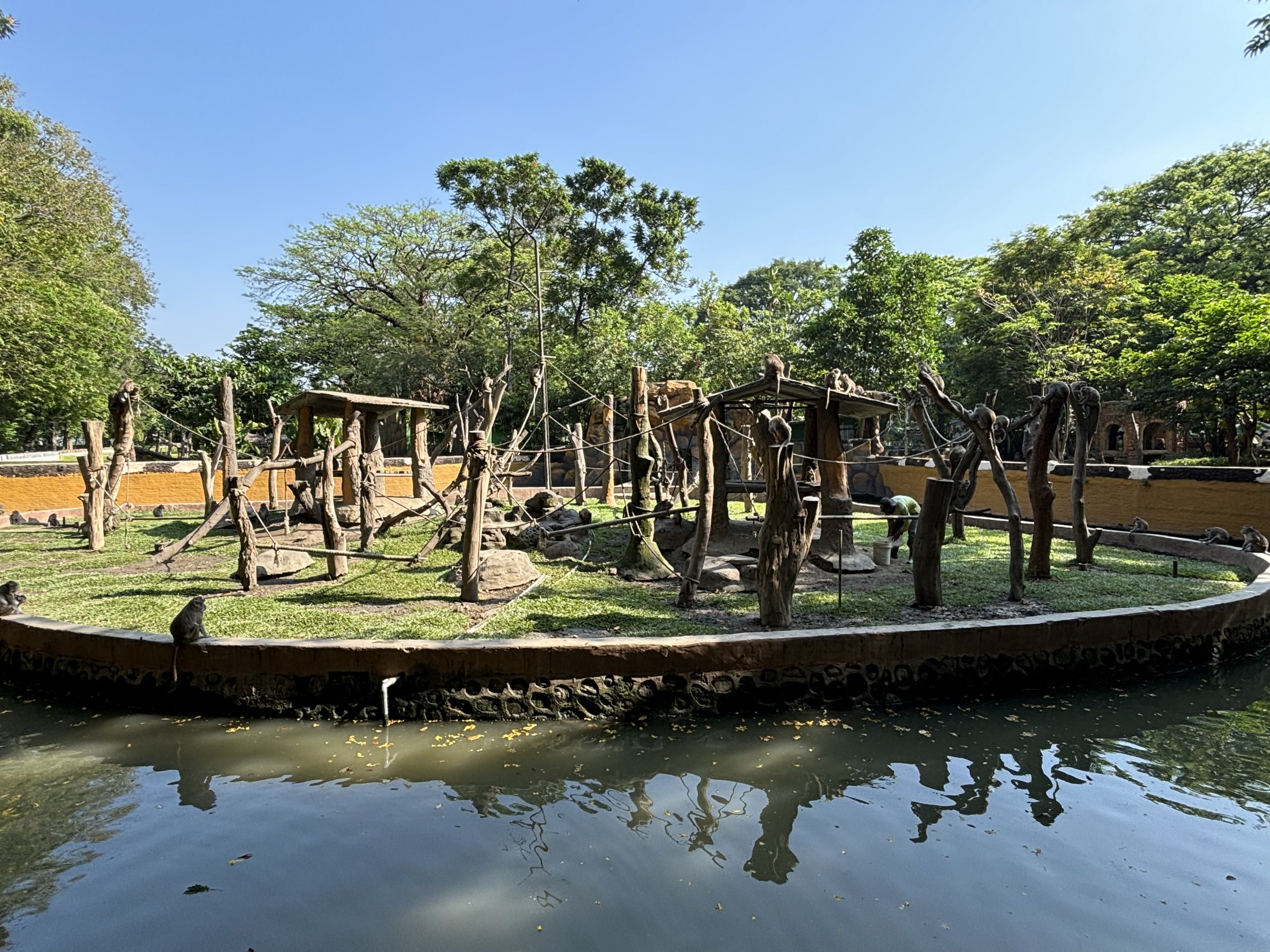 Crab-eating Macaque Exhibit