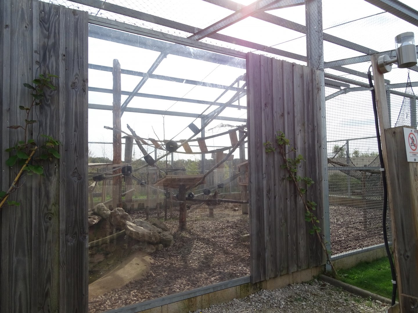 Crab-eating macaque exhibit