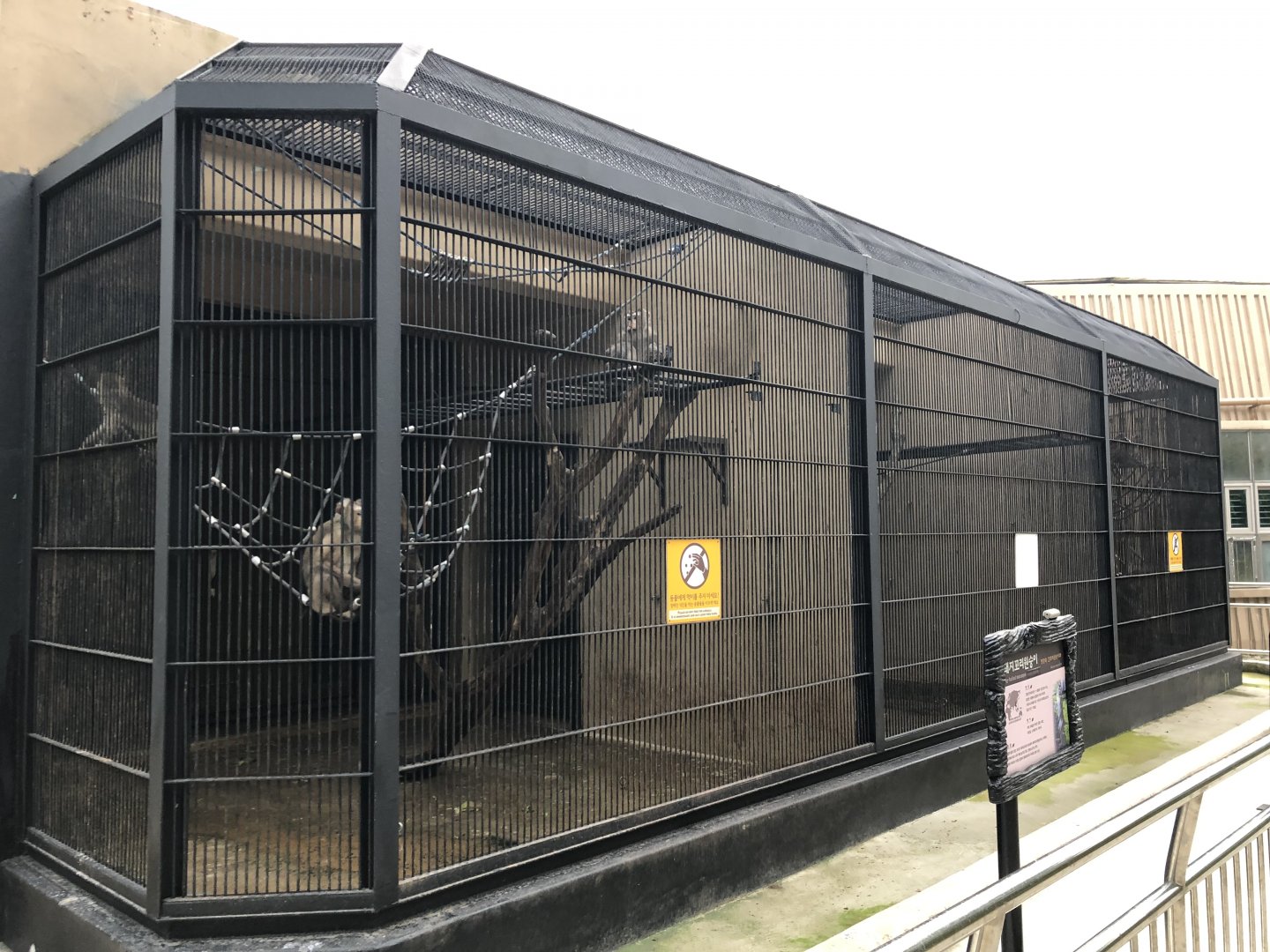 Crab-Eating Macaque Exhibits