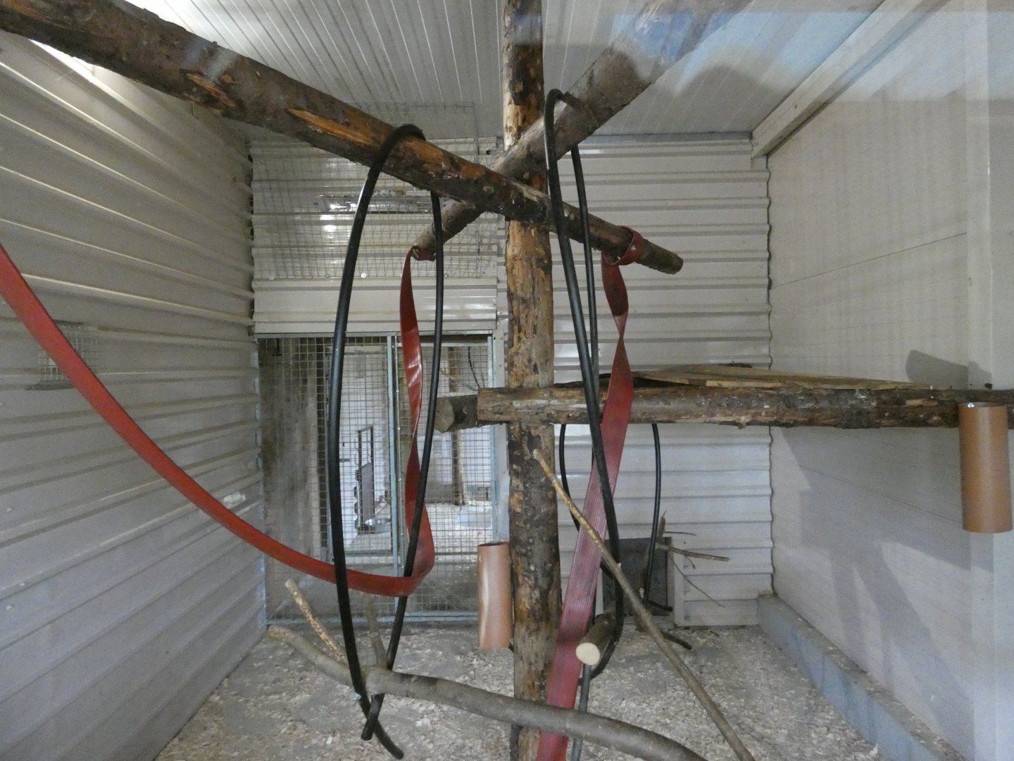 Crab-eating macaque indoor enclosure