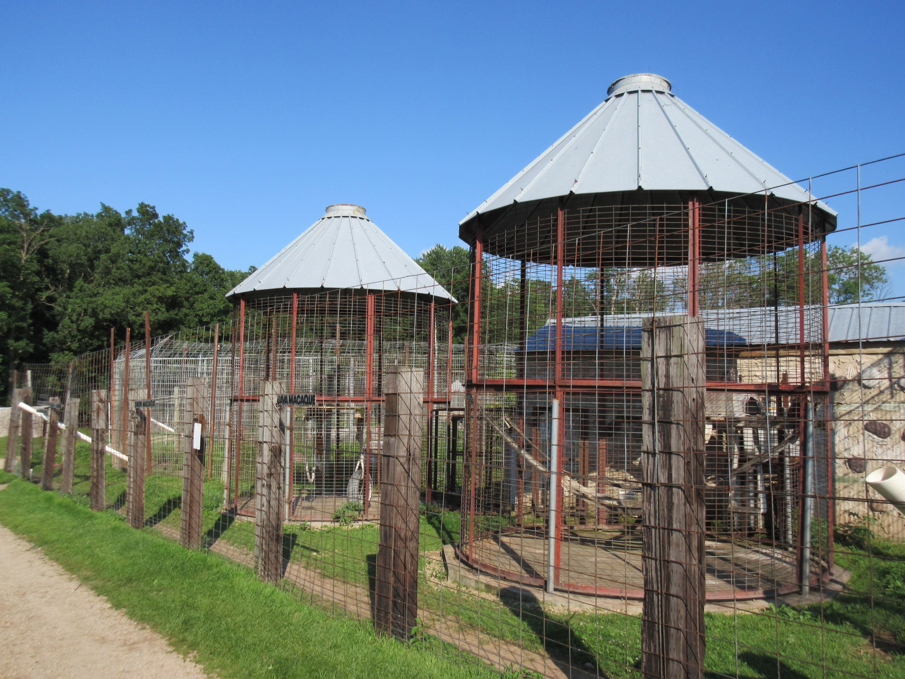 Crab-eating Macaque + Japanese Macaque Exhibits