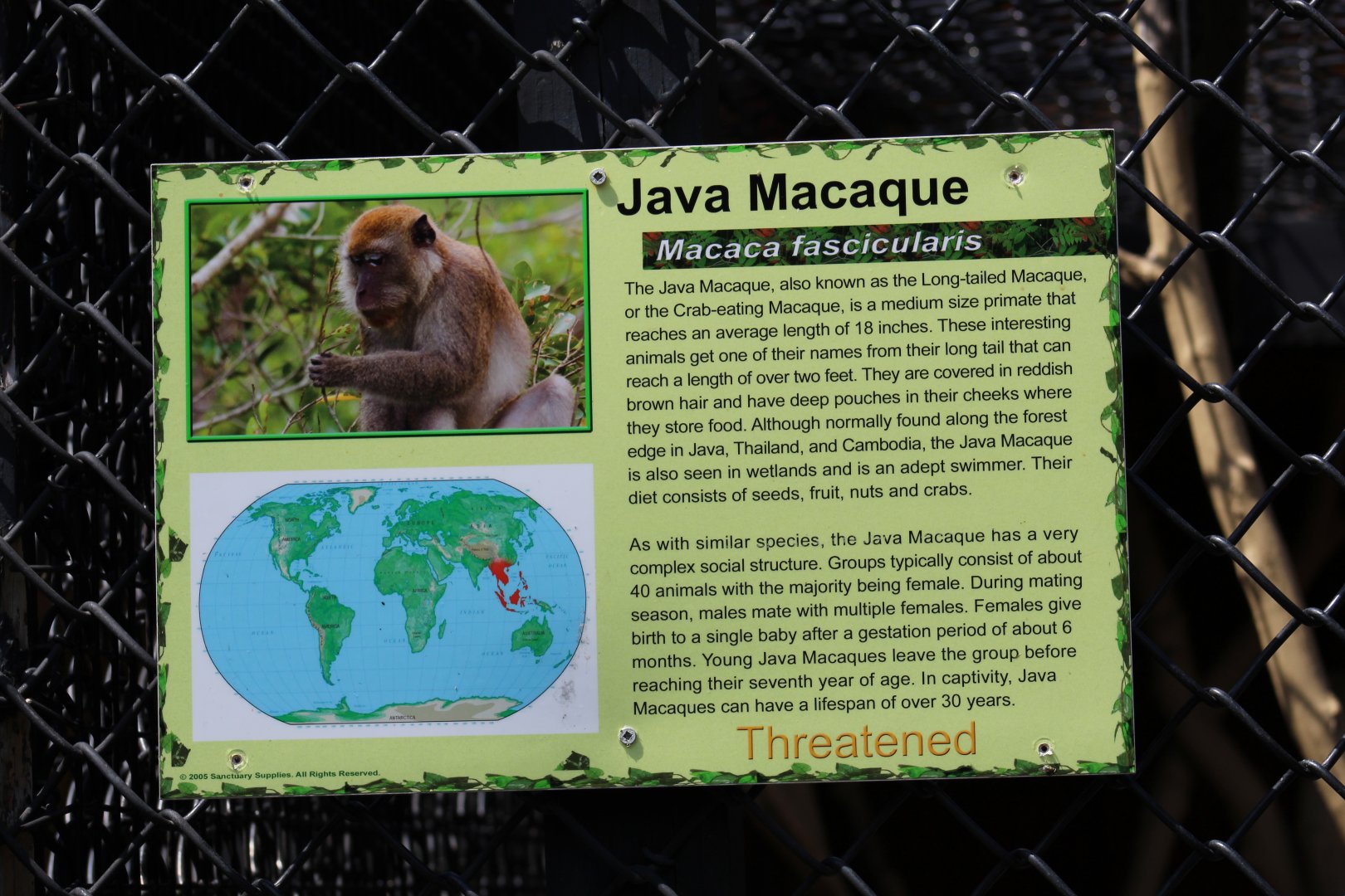 Crab-Eating Macaque Signage
