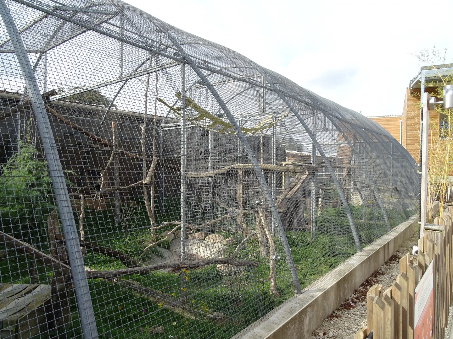 Crab-eating macaques aviary